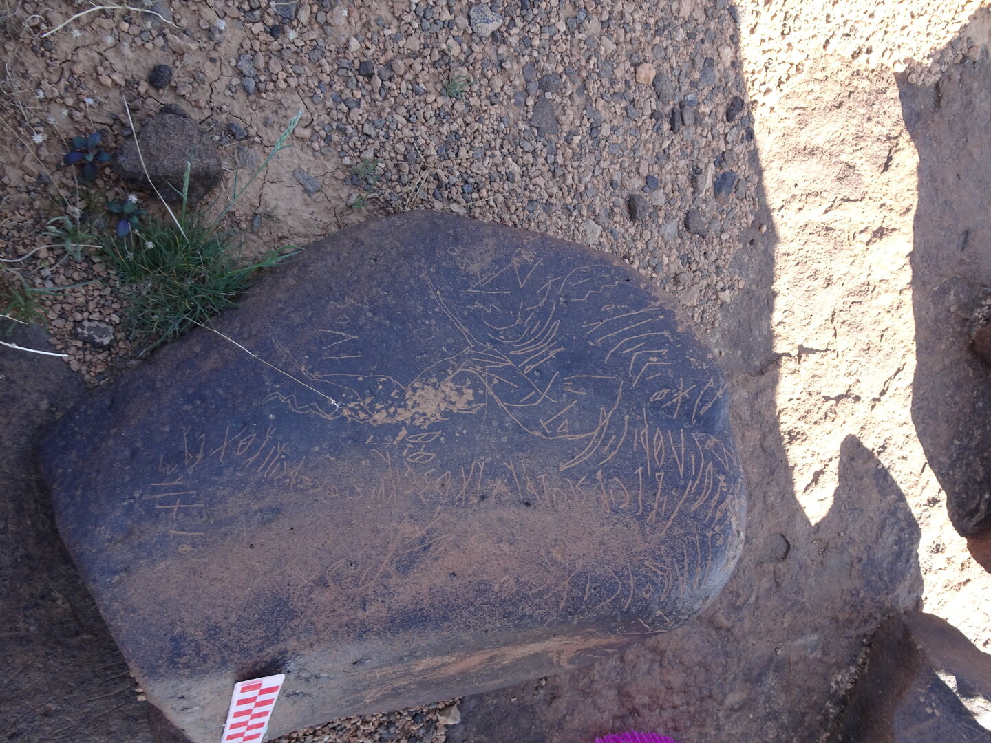 Image of siglum BES20 1014