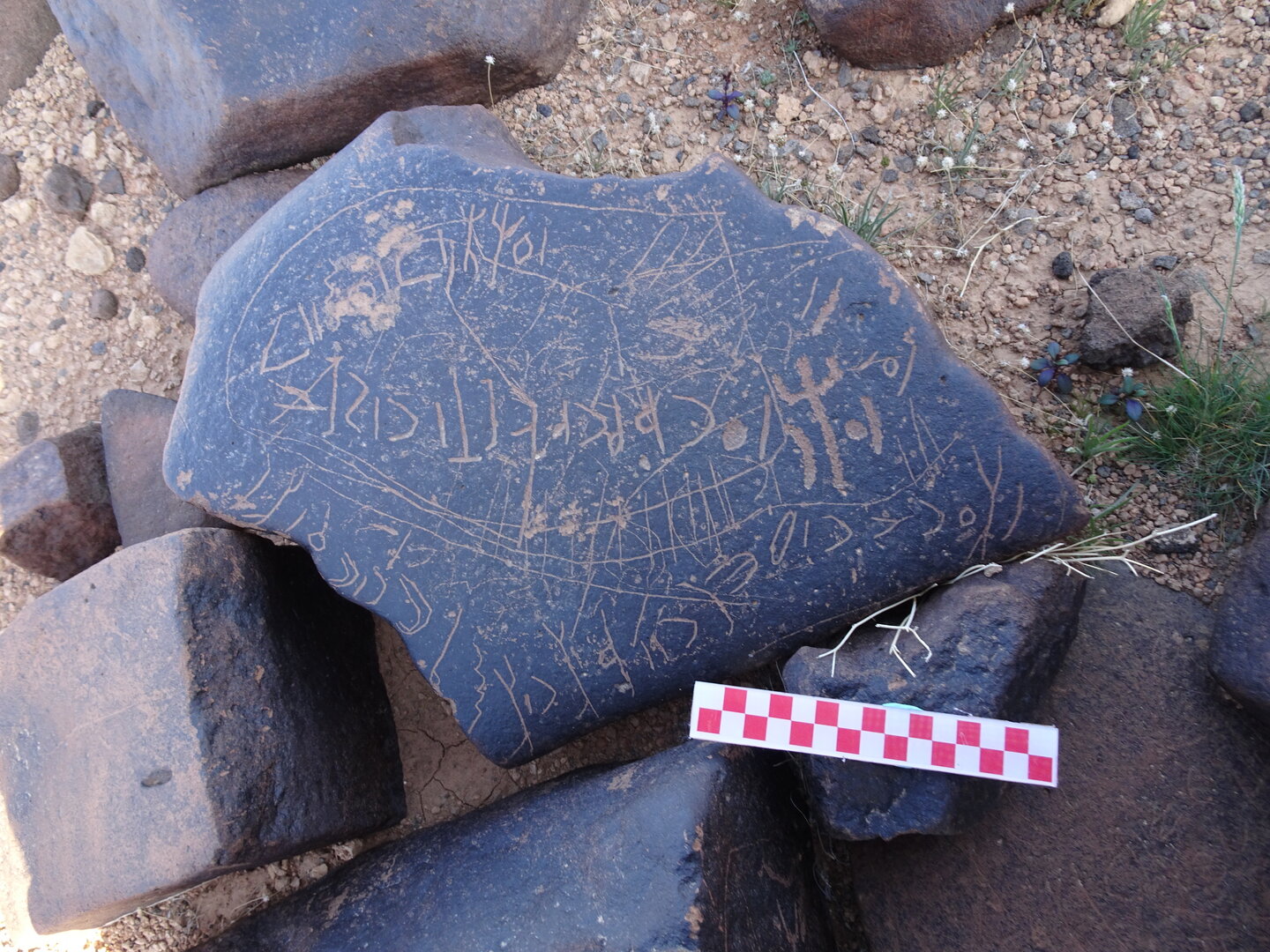 Image of siglum BES20 1015