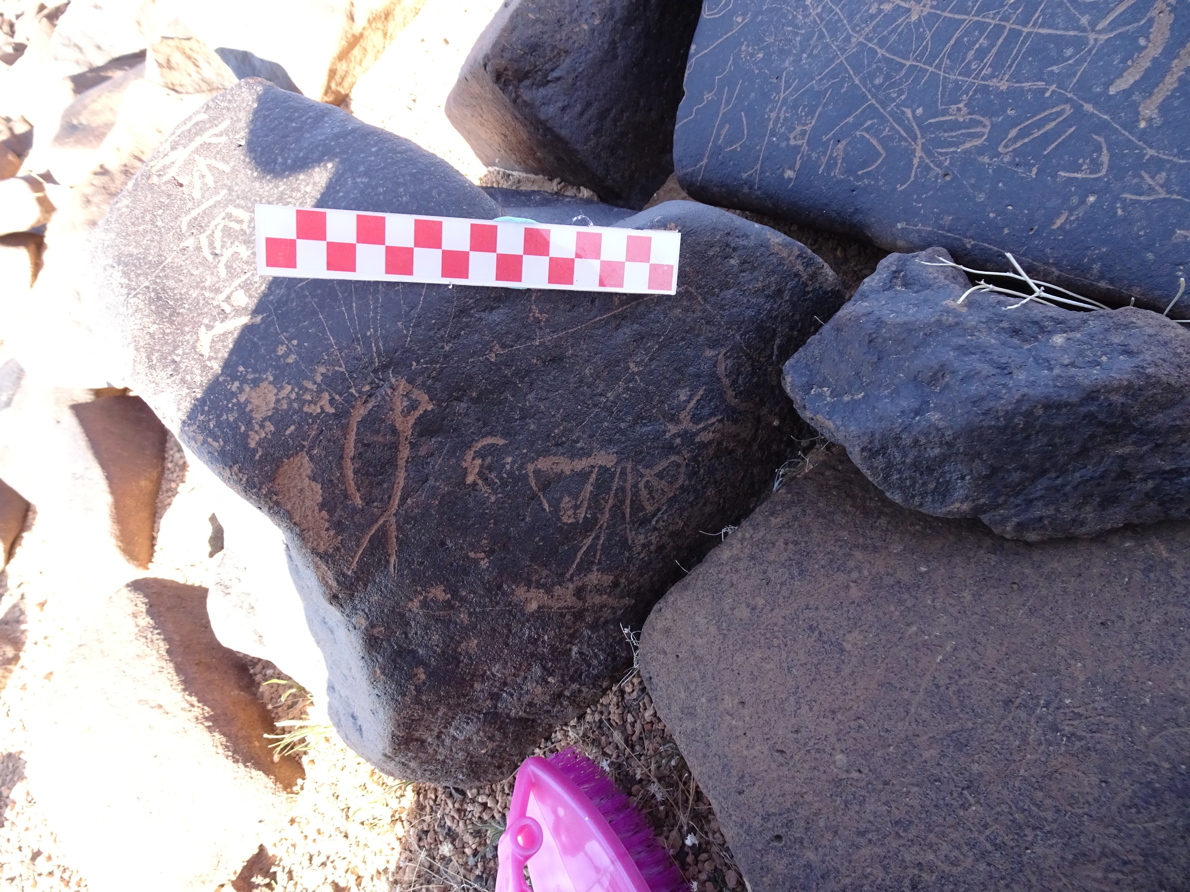 Image of siglum BES20 1019