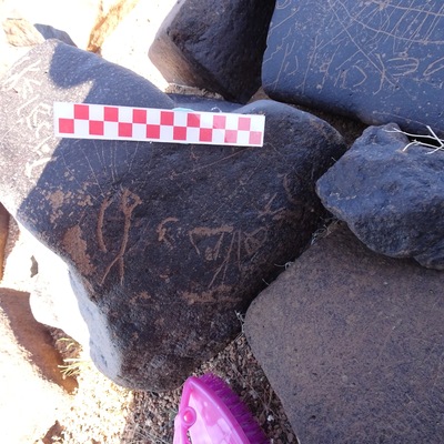 Image of siglum BES20 1019