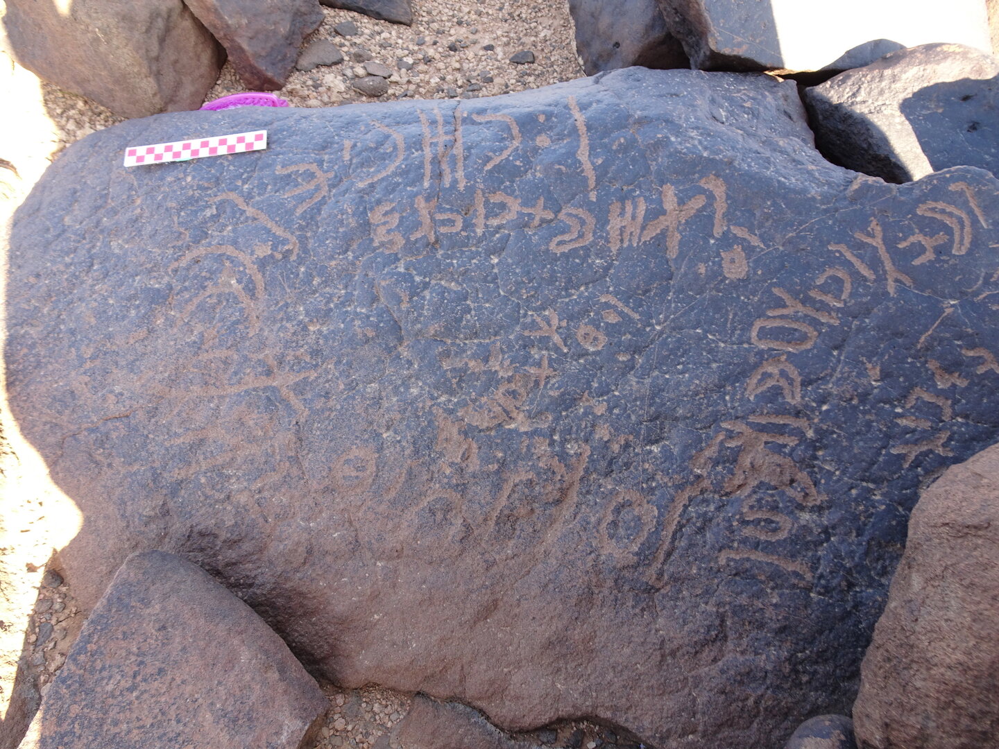 Image of siglum BES20 1024