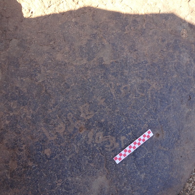 Image of siglum BES20 1028