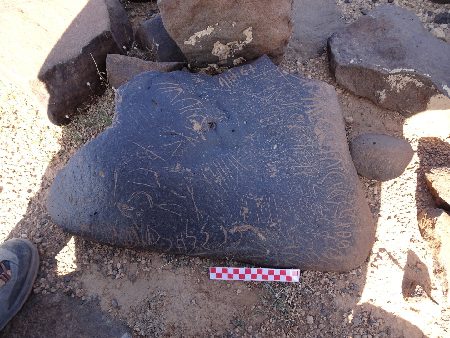 Image of siglum BES20 1030