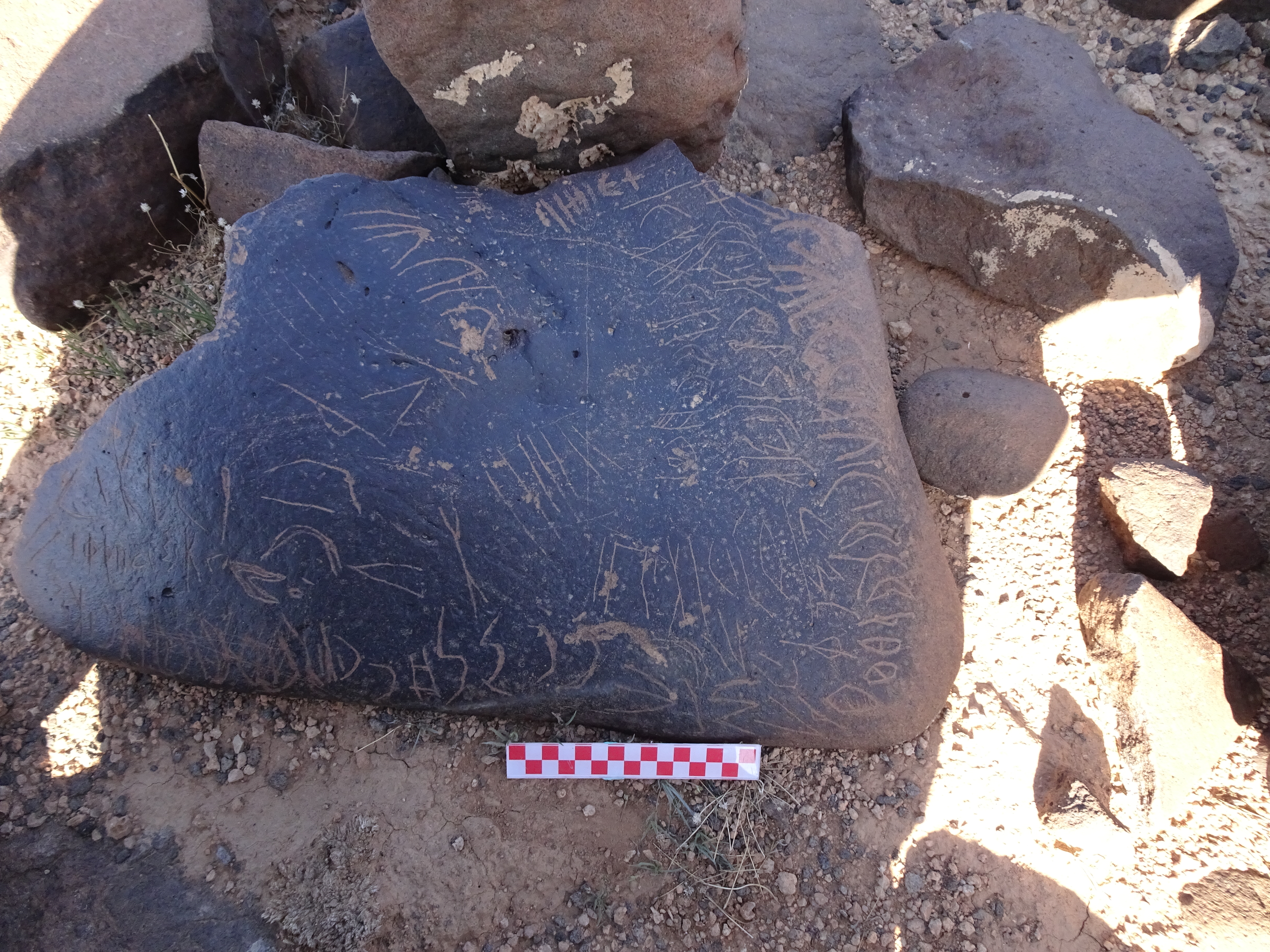 Image of siglum BES20 1036