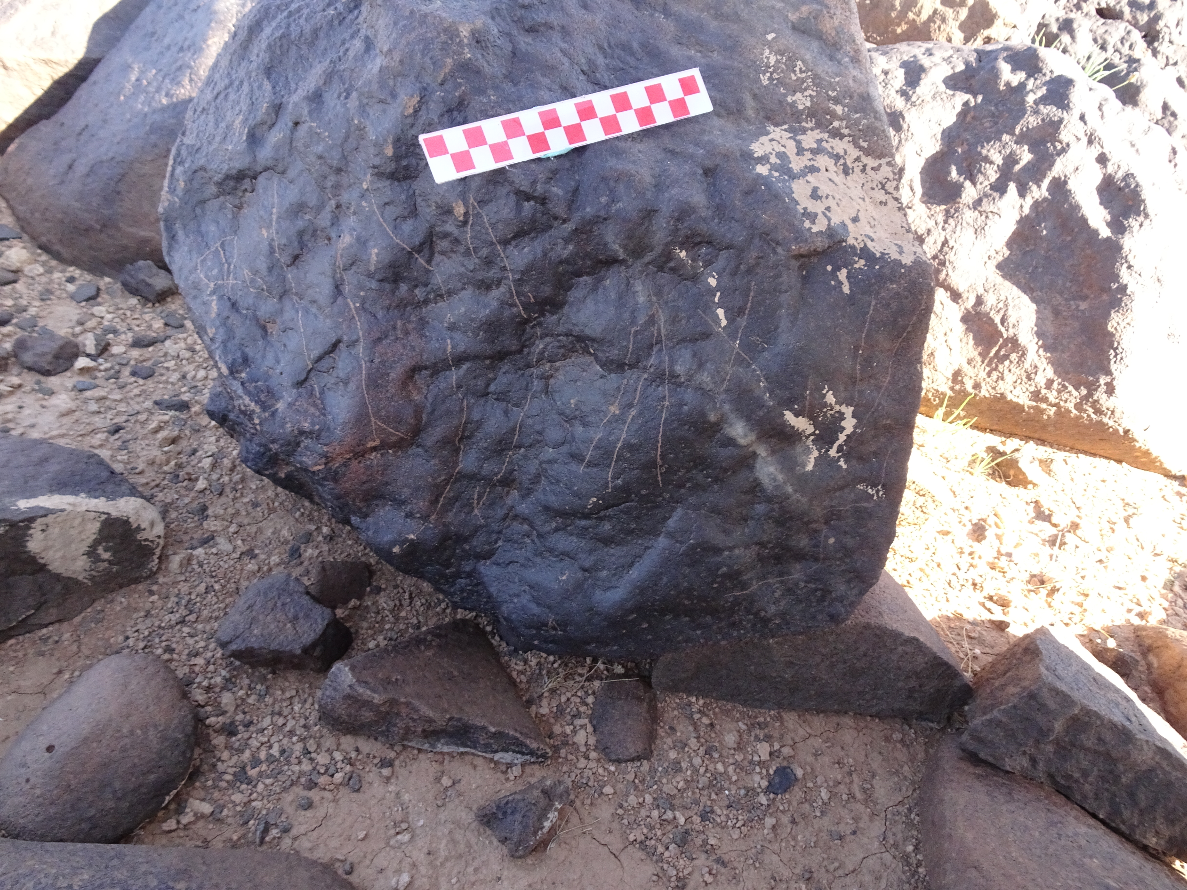 Image of siglum BES20 1037