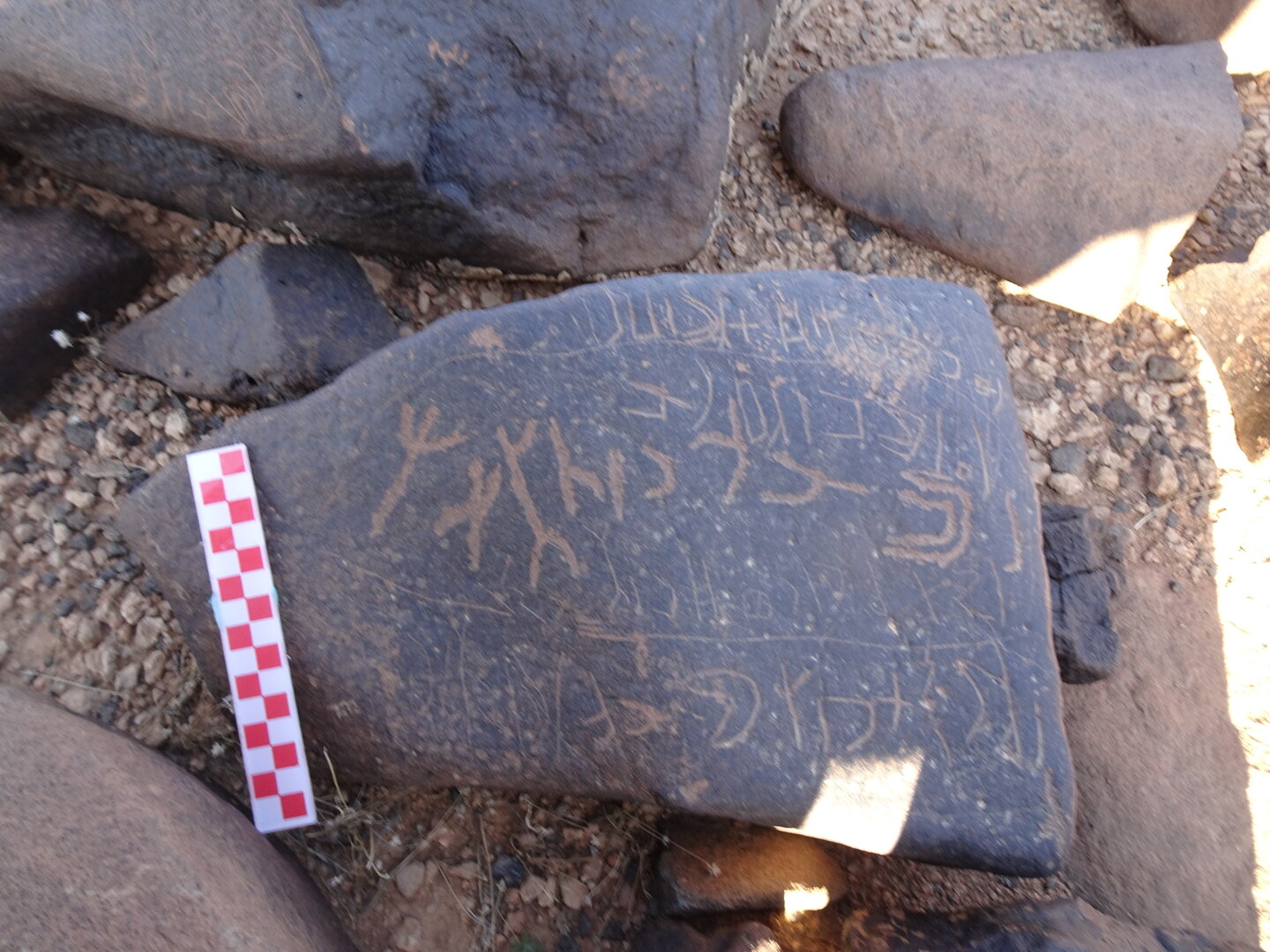 Image of siglum BES20 1039