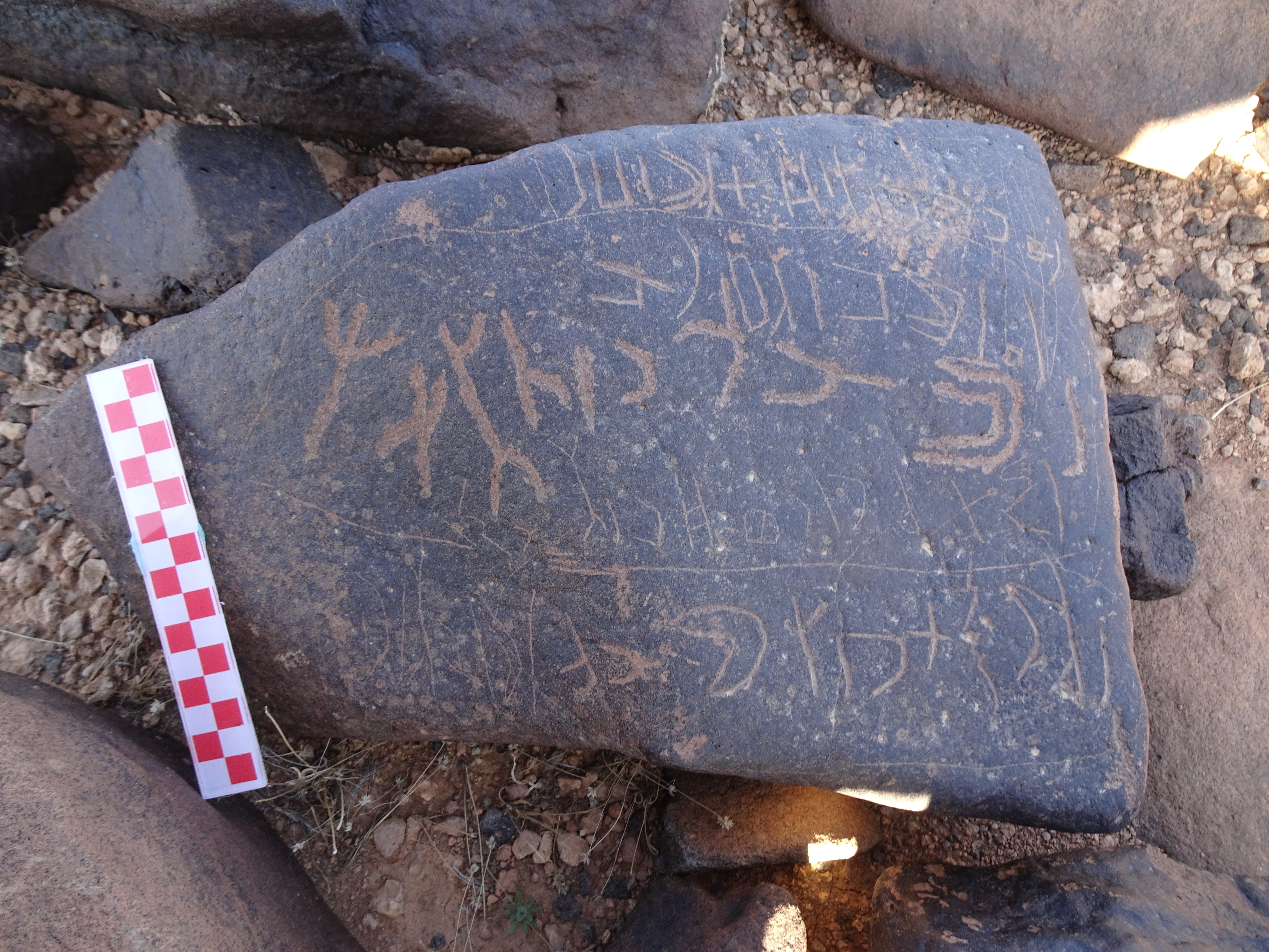 Image of siglum BES20 1043