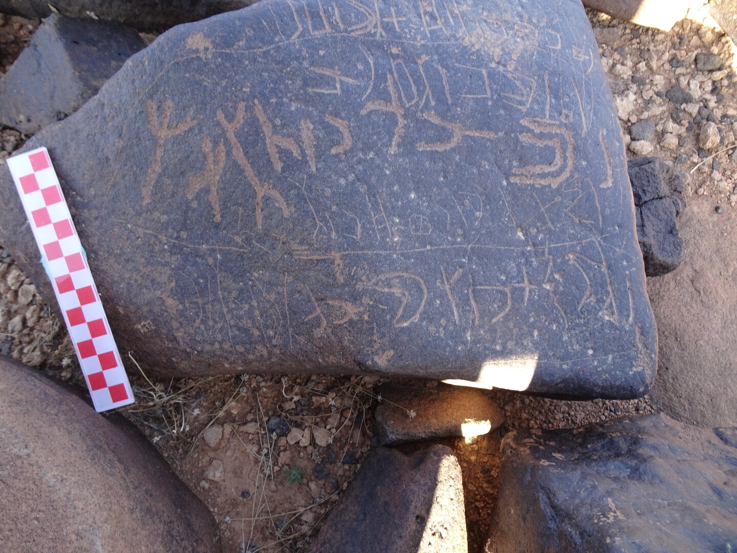 Image of siglum BES20 1043