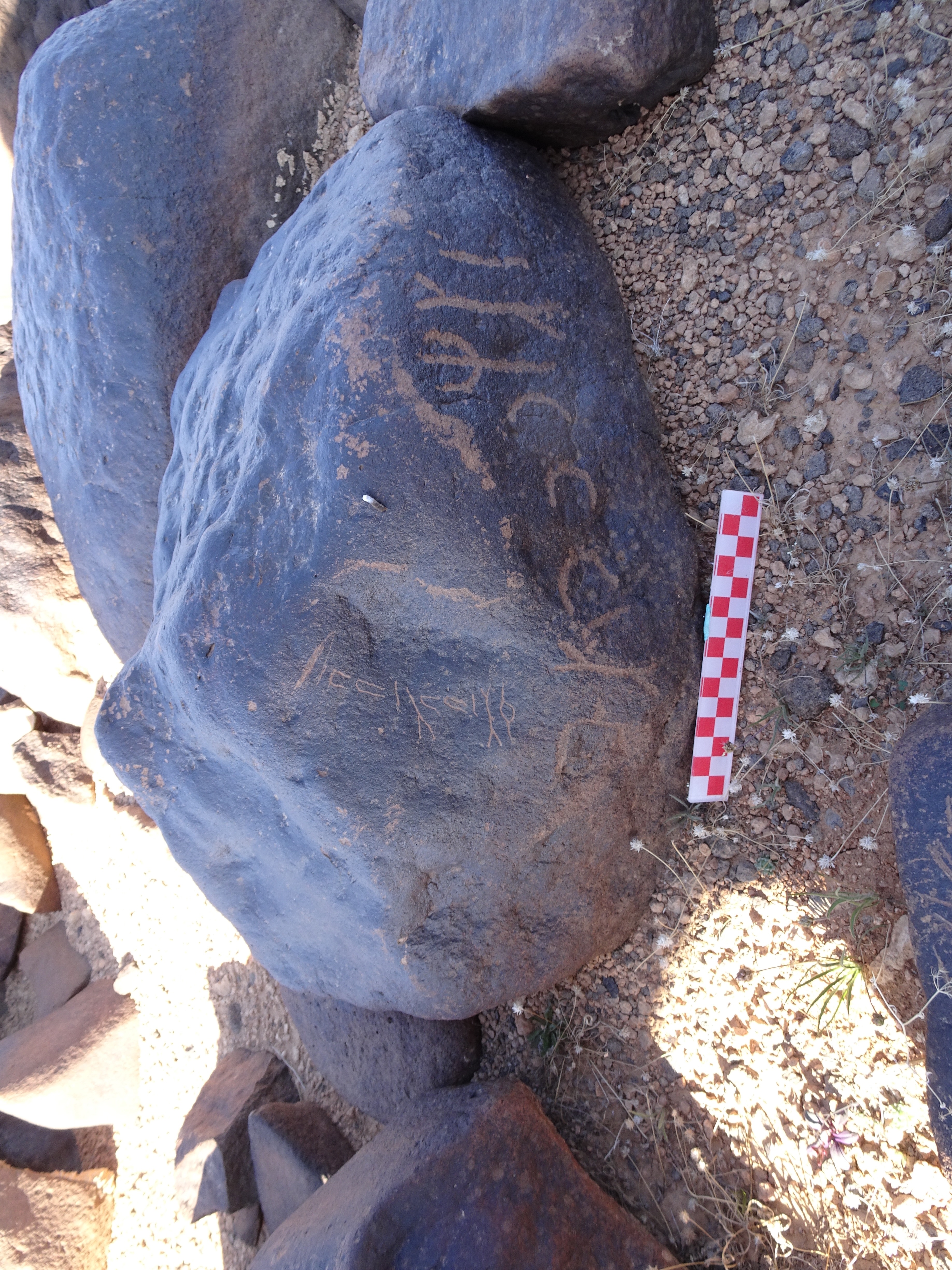 Image of siglum BES20 1044