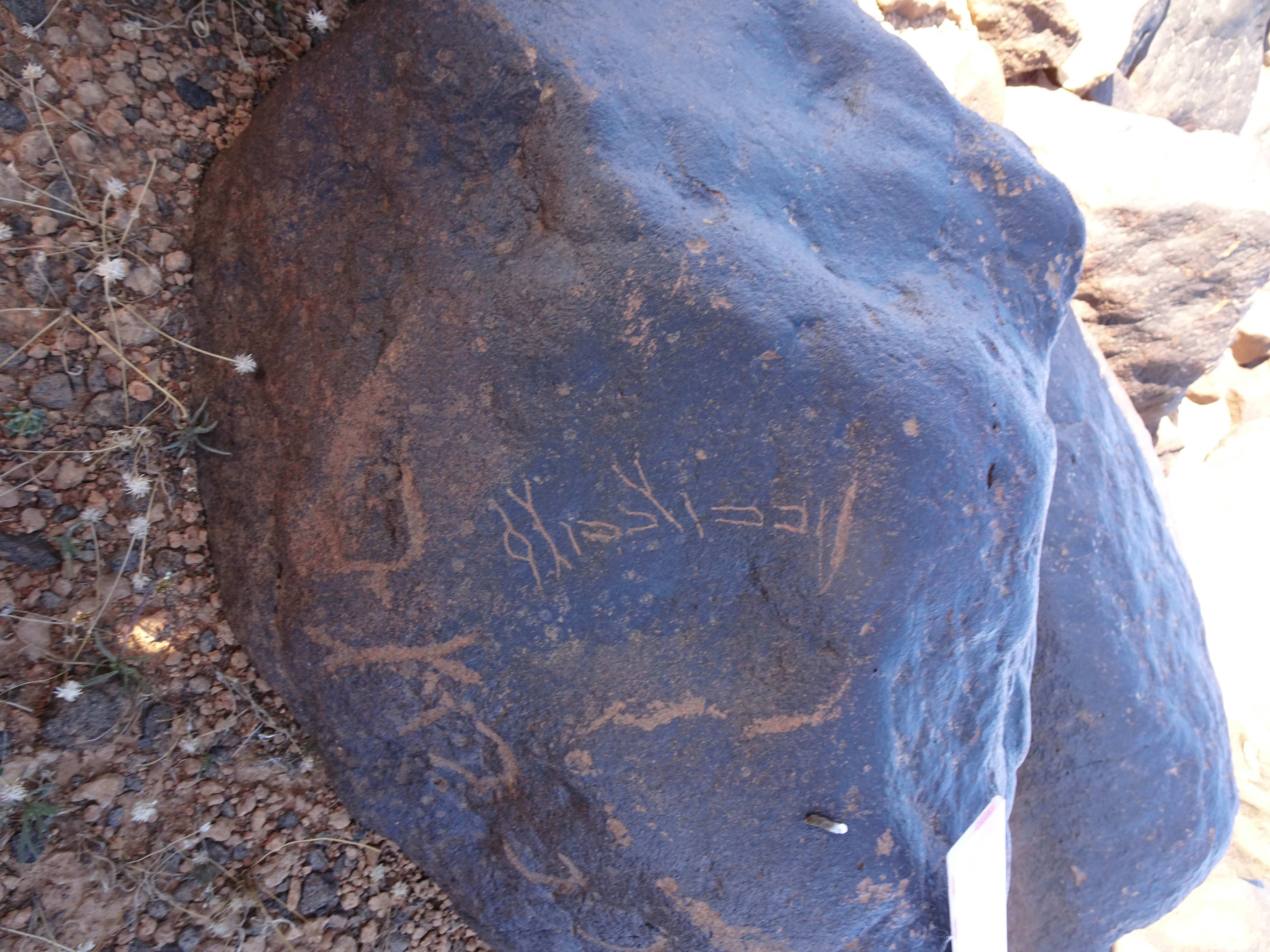 Image of siglum BES20 1045