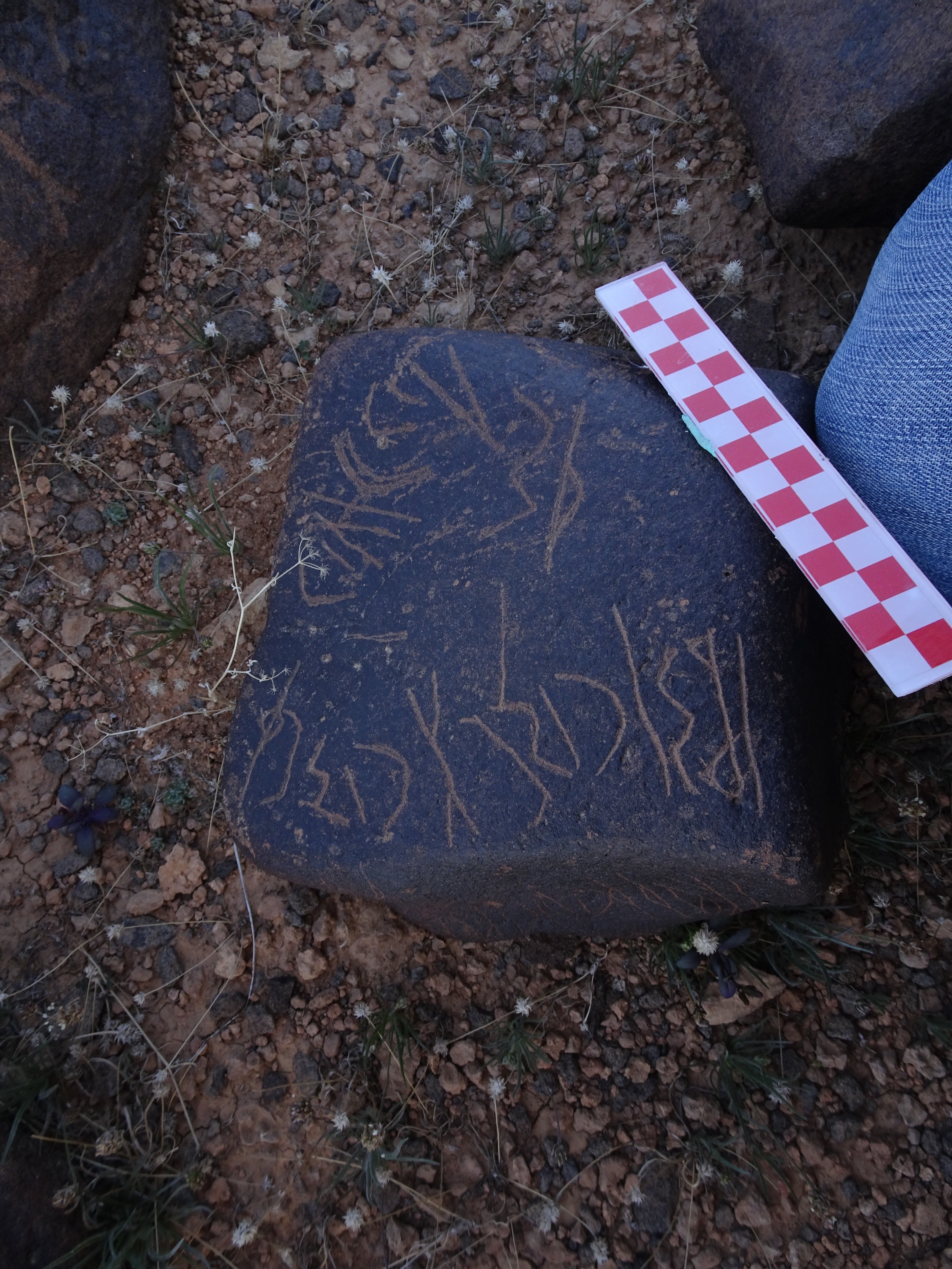 Image of siglum BES20 1046