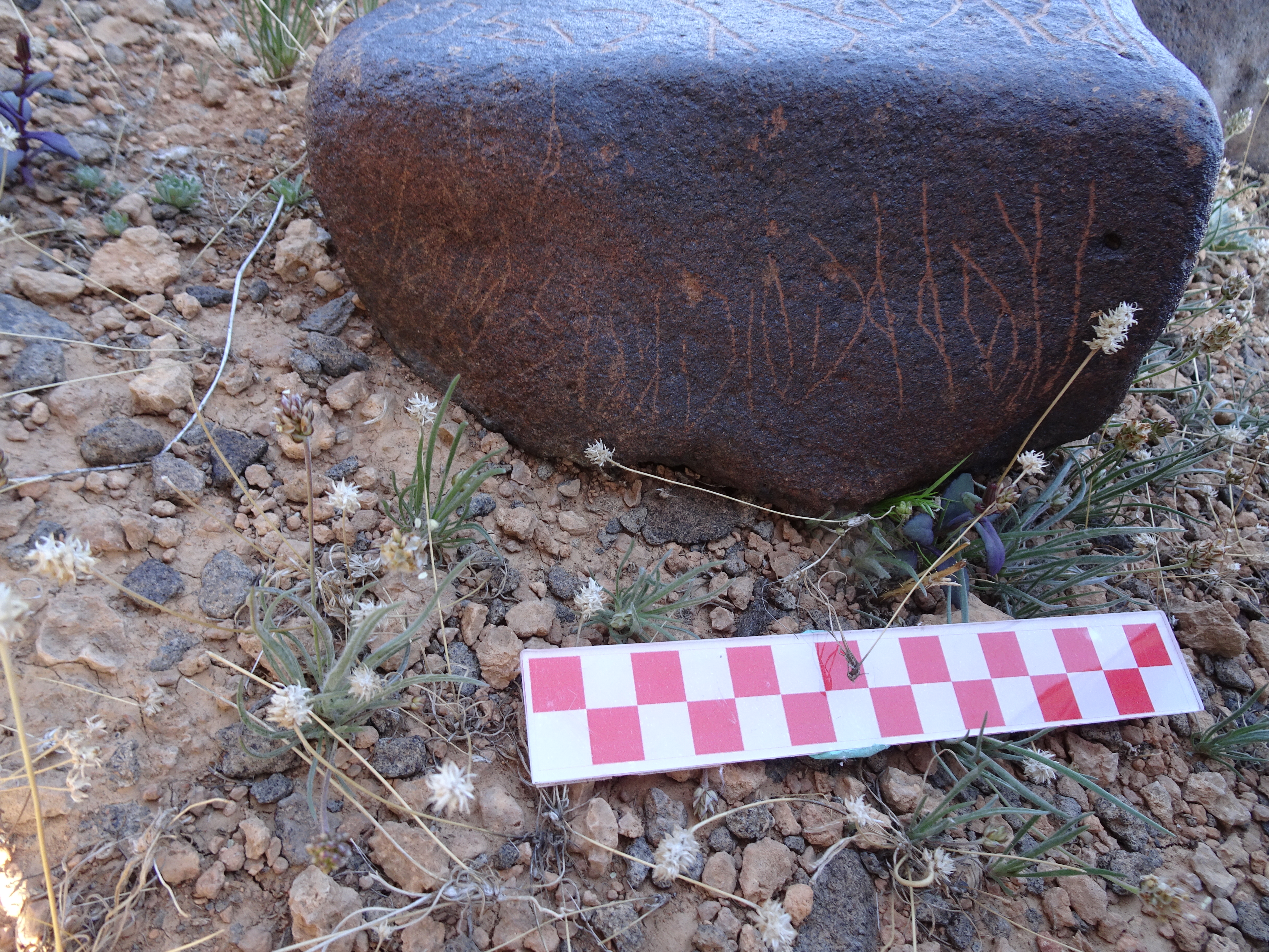 Image of siglum BES20 1047