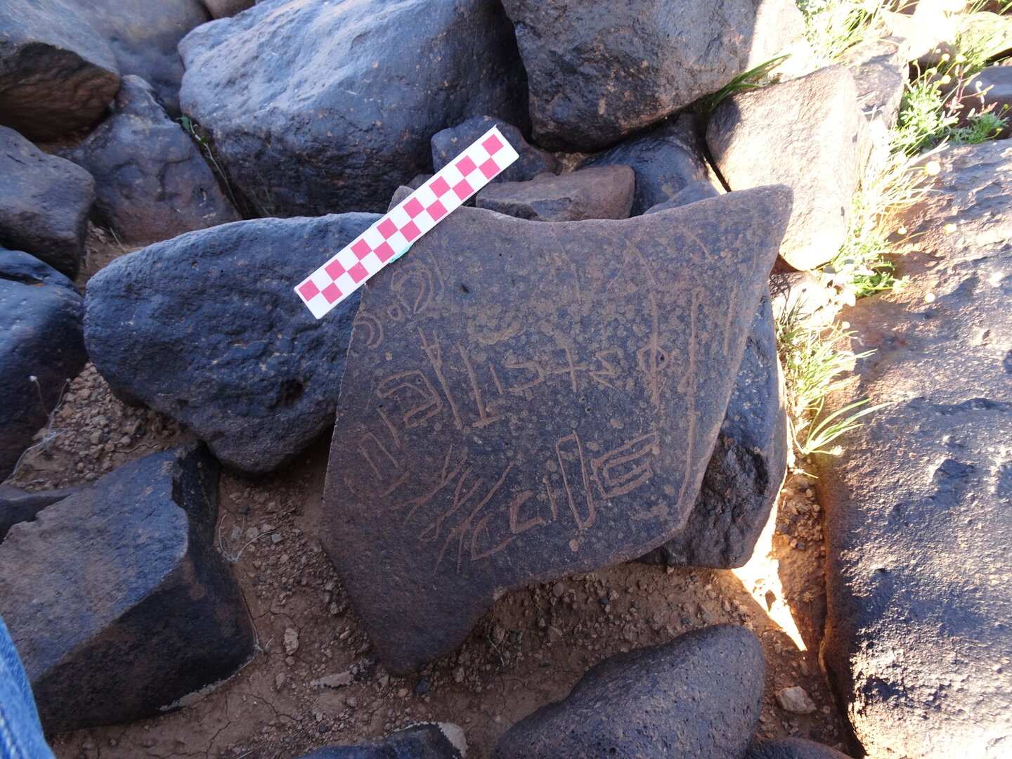 Image of siglum BES20 1058