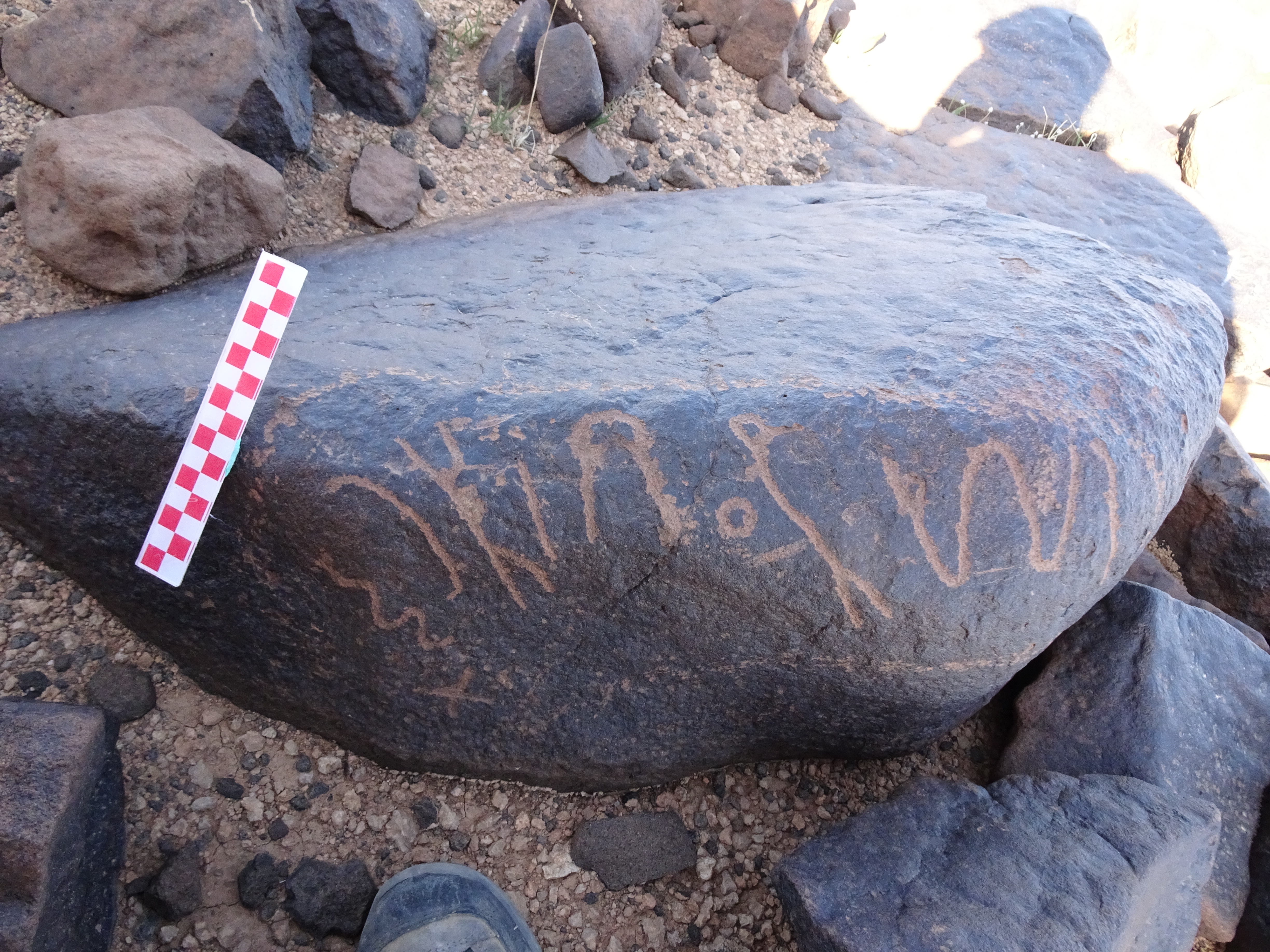 Image of siglum BES20 1063