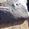 Image of siglum BES20 1064
