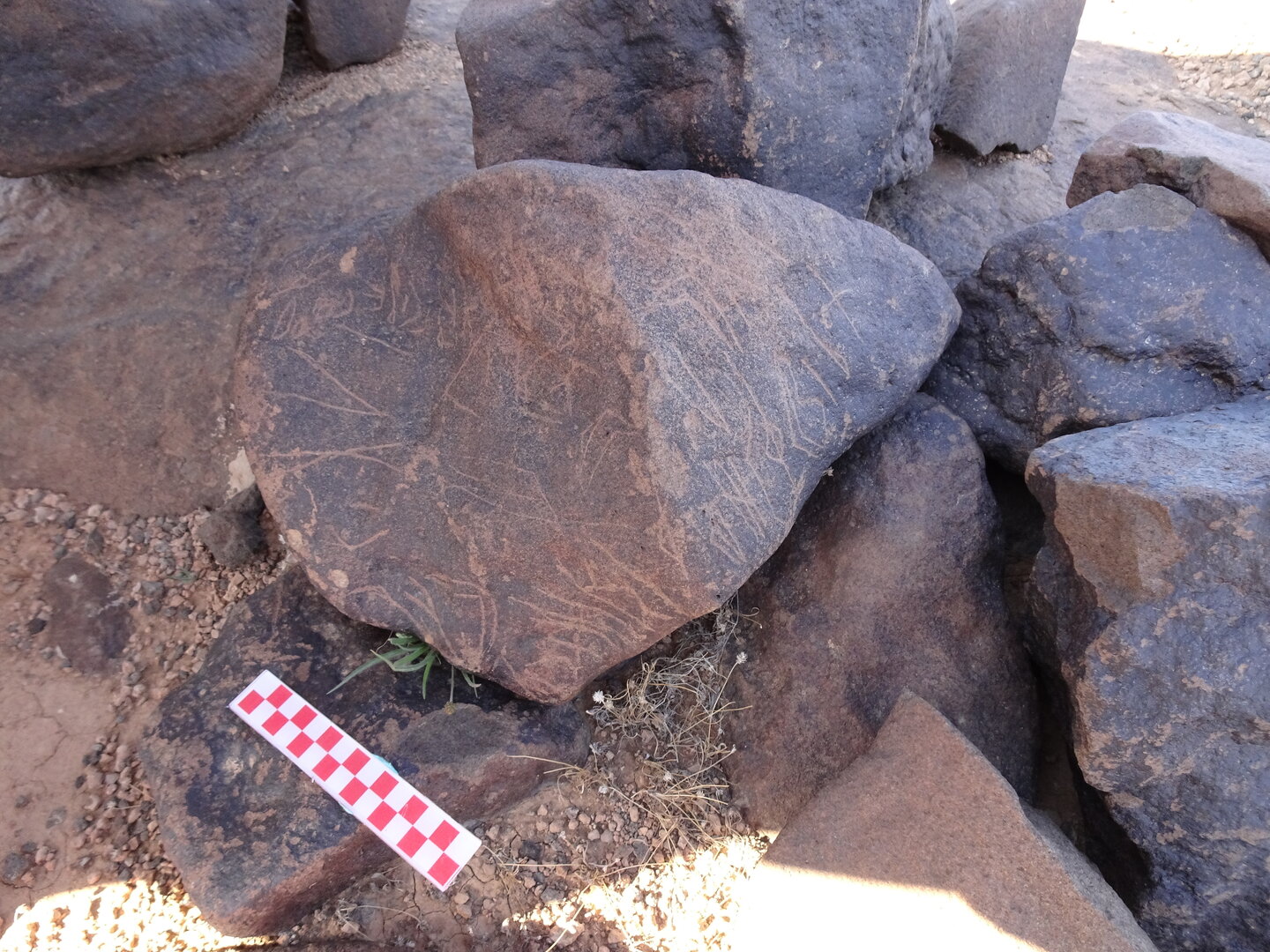 Image of siglum BES20 1065