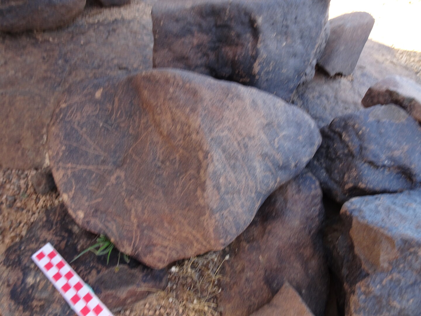 Image of siglum BES20 1065