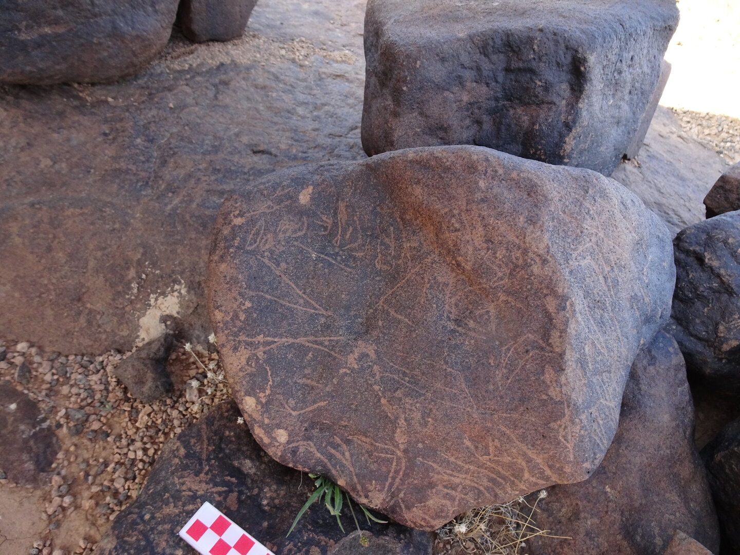Image of siglum BES20 1065