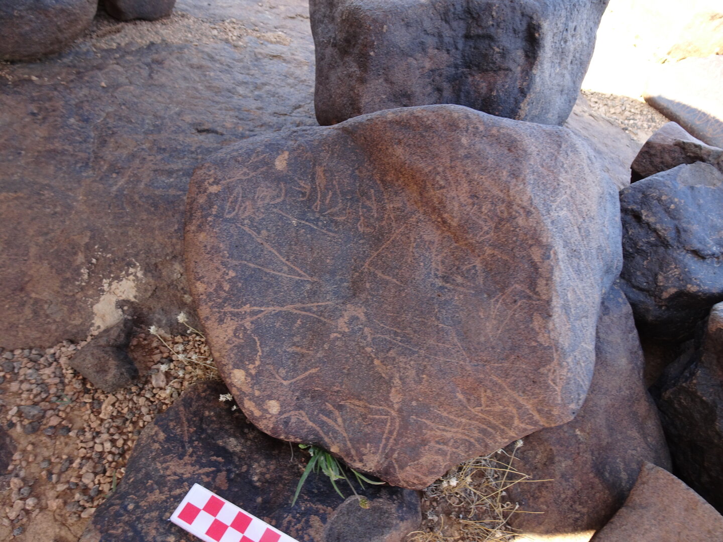 Image of siglum BES20 1065