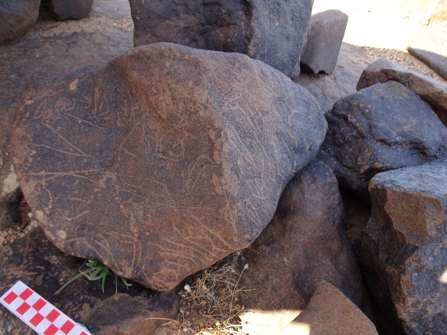 Image of siglum BES20 1065