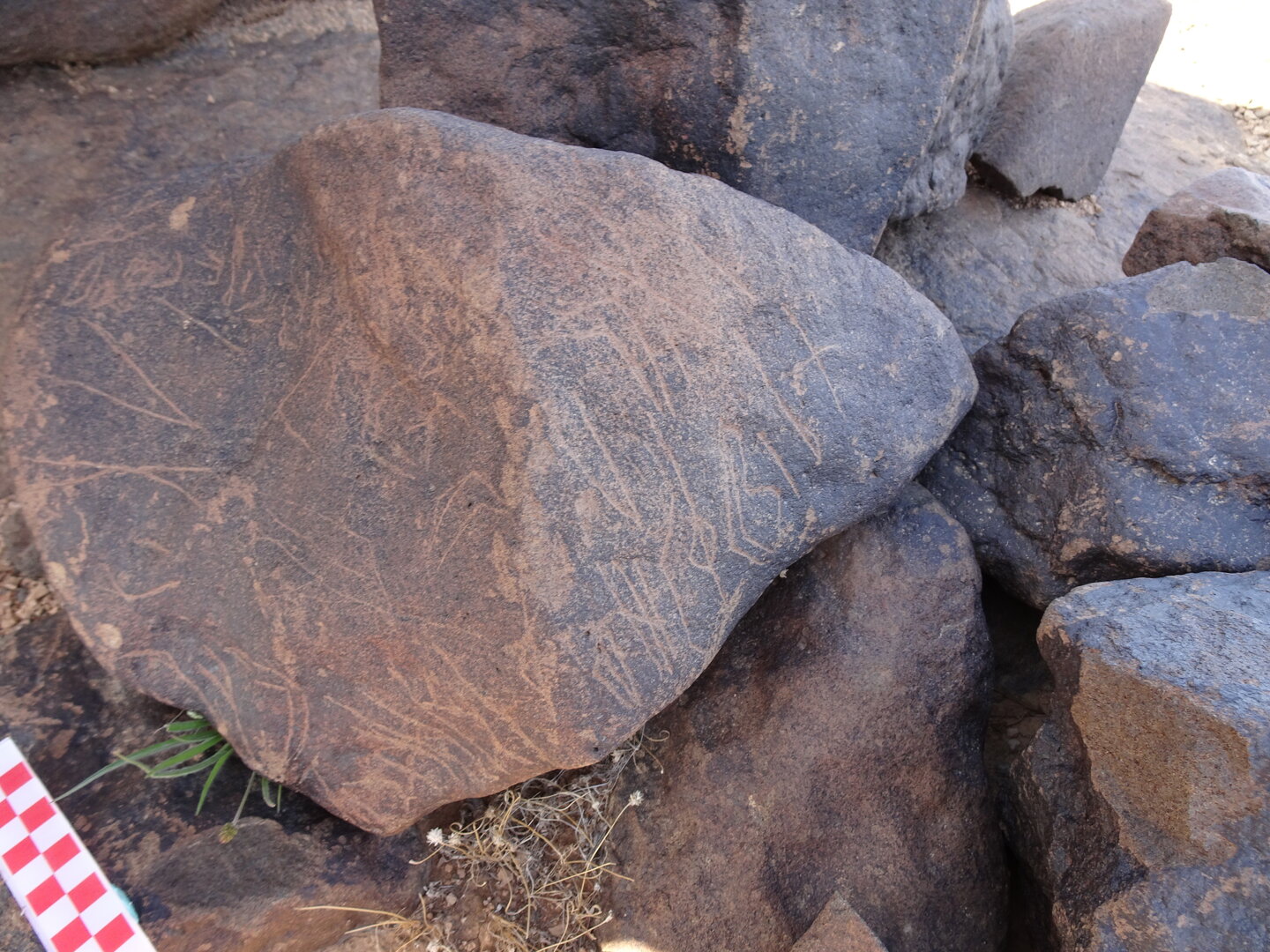 Image of siglum BES20 1065