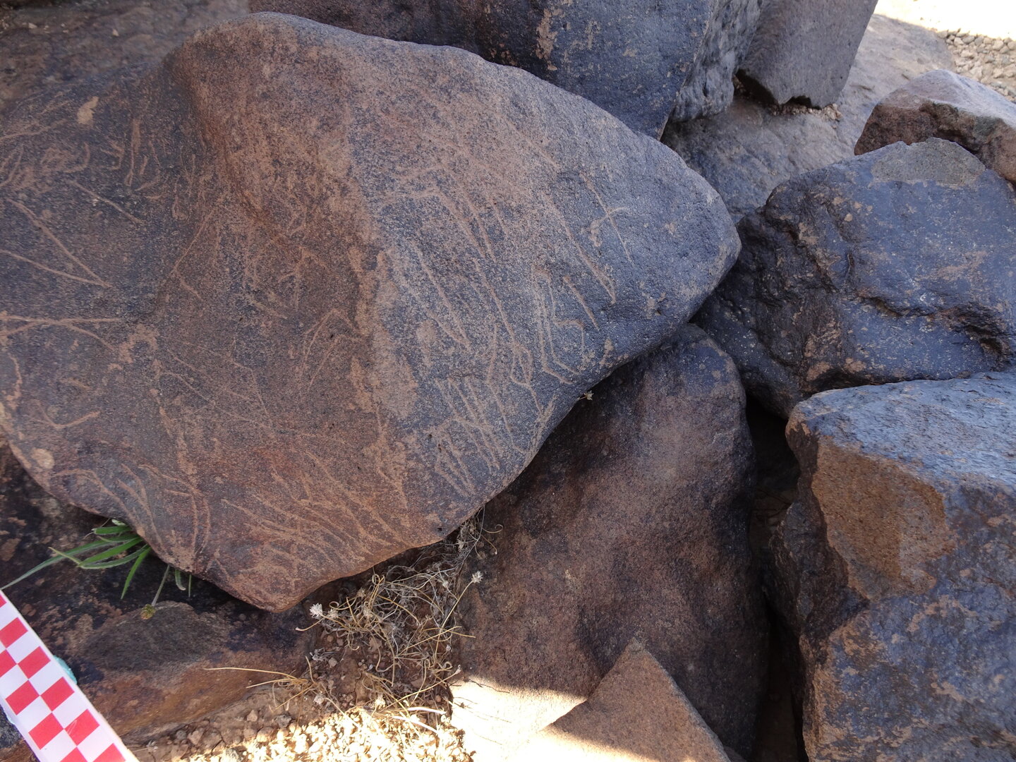 Image of siglum BES20 1066