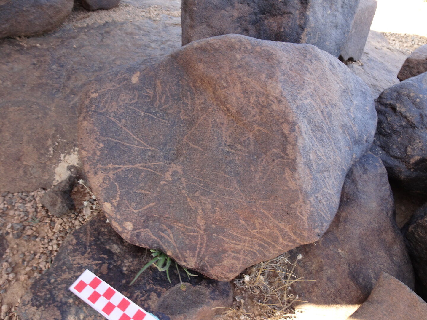 Image of siglum BES20 1066