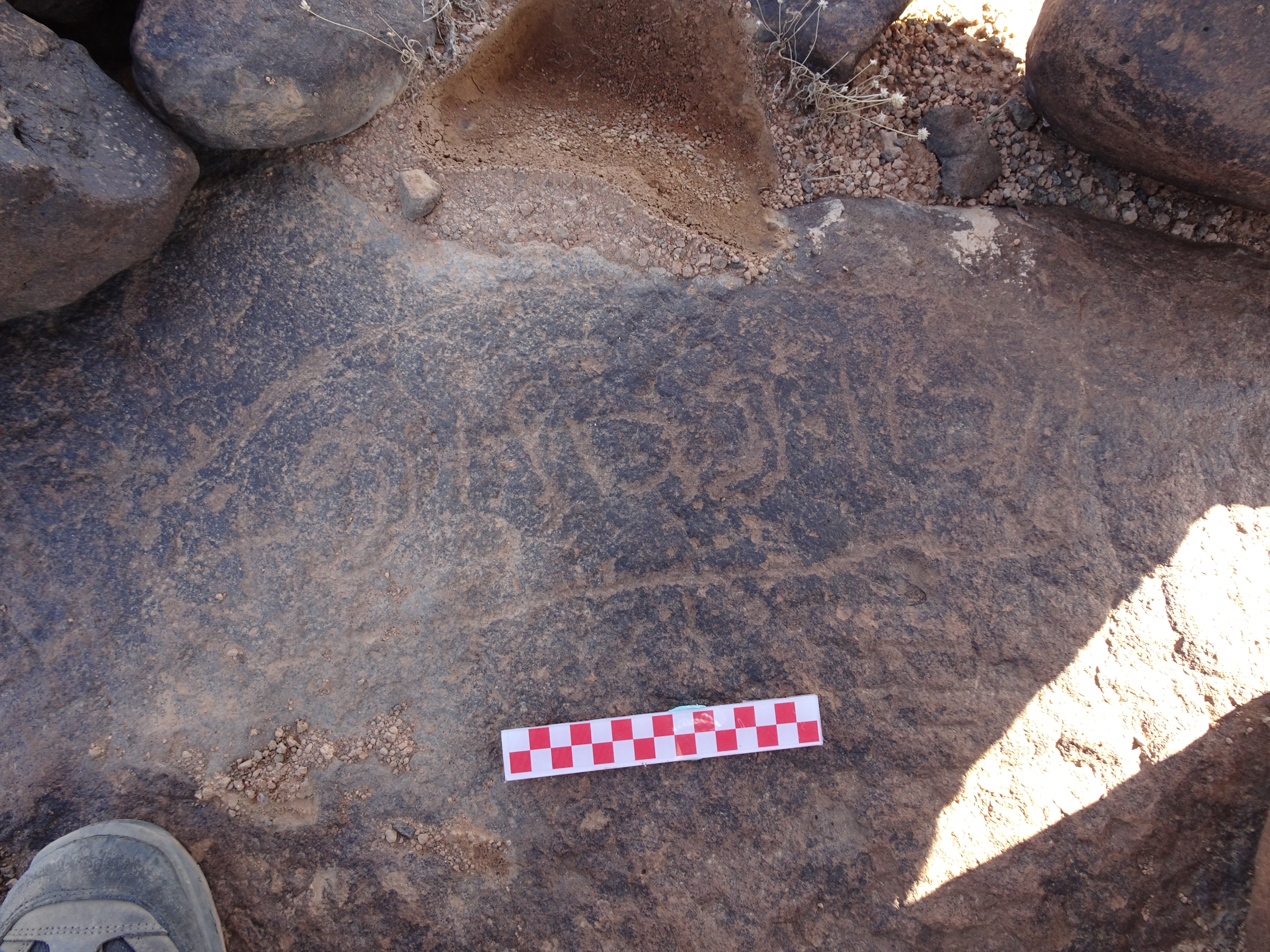 Image of siglum BES20 1067