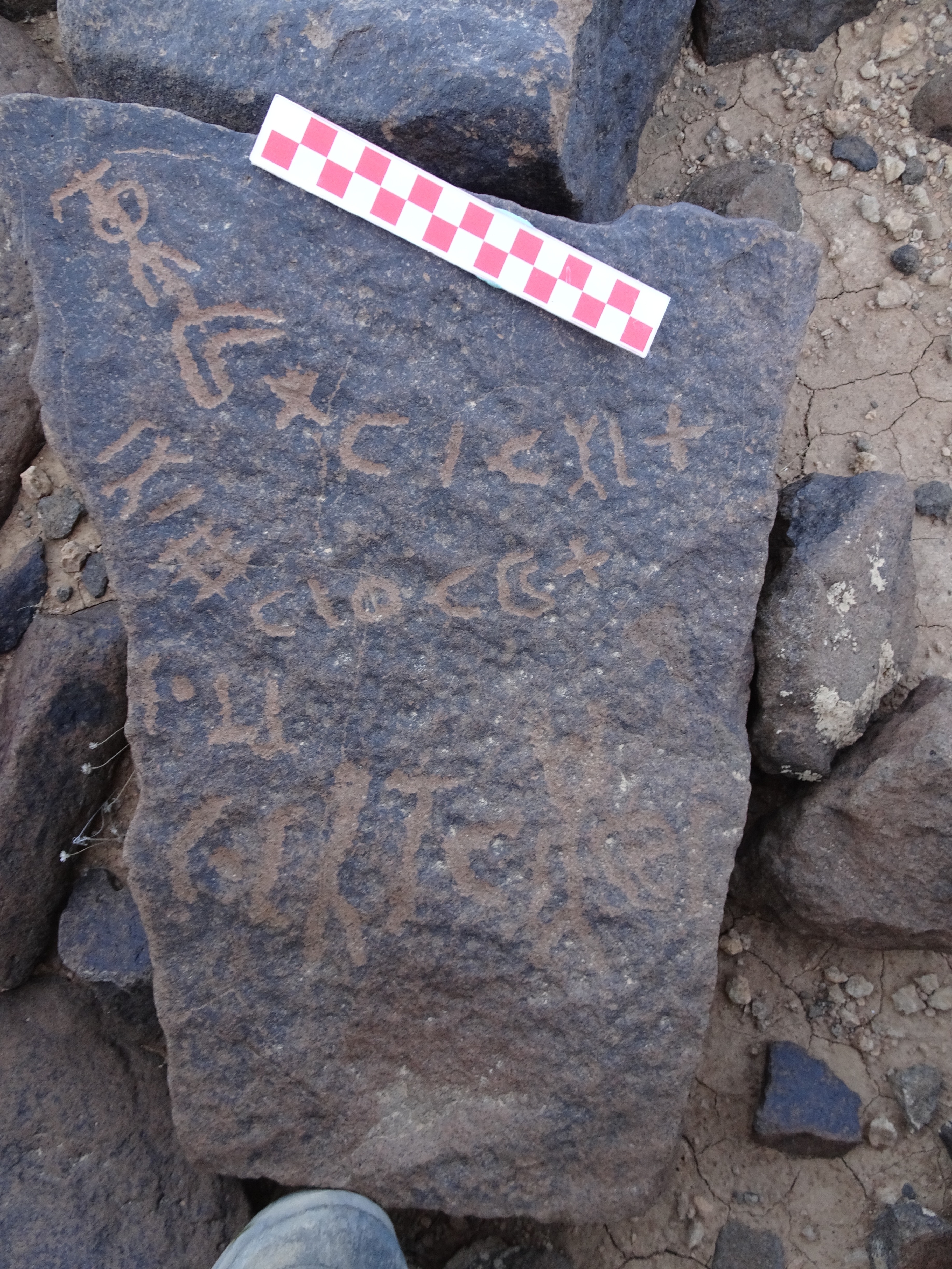 Image of siglum BES20 1069