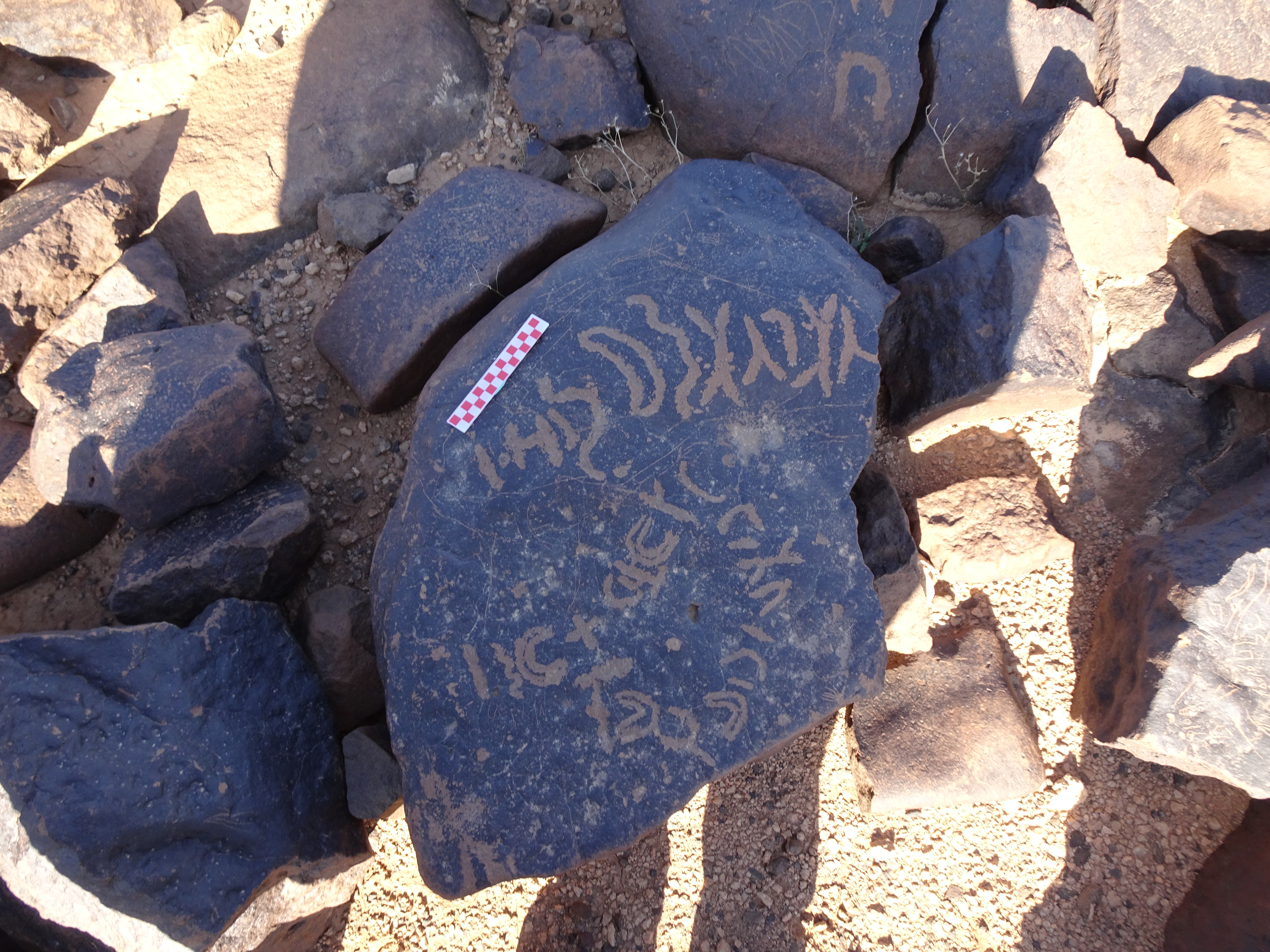 Image of siglum BES20 1081