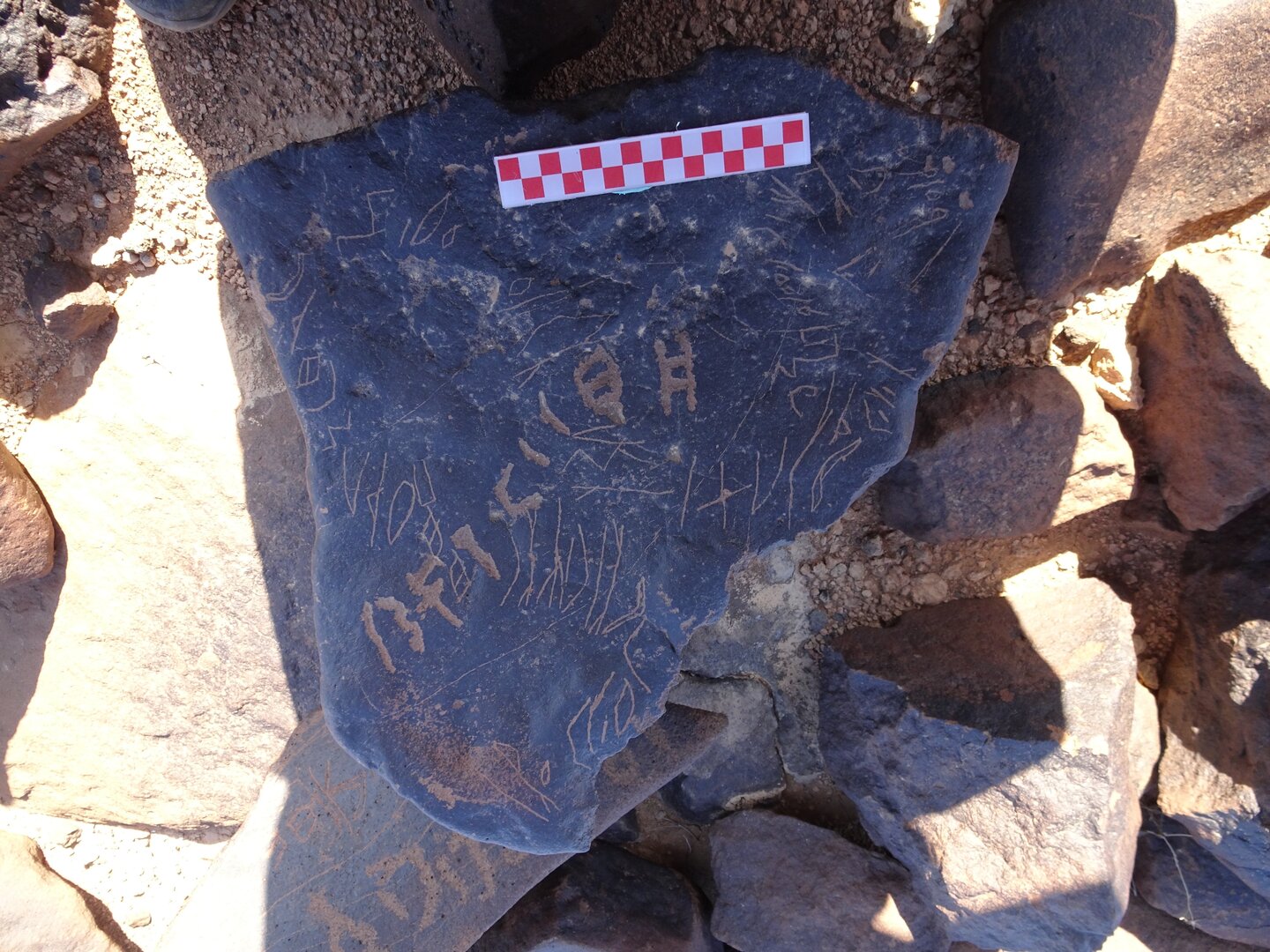 Image of siglum BES20 1083