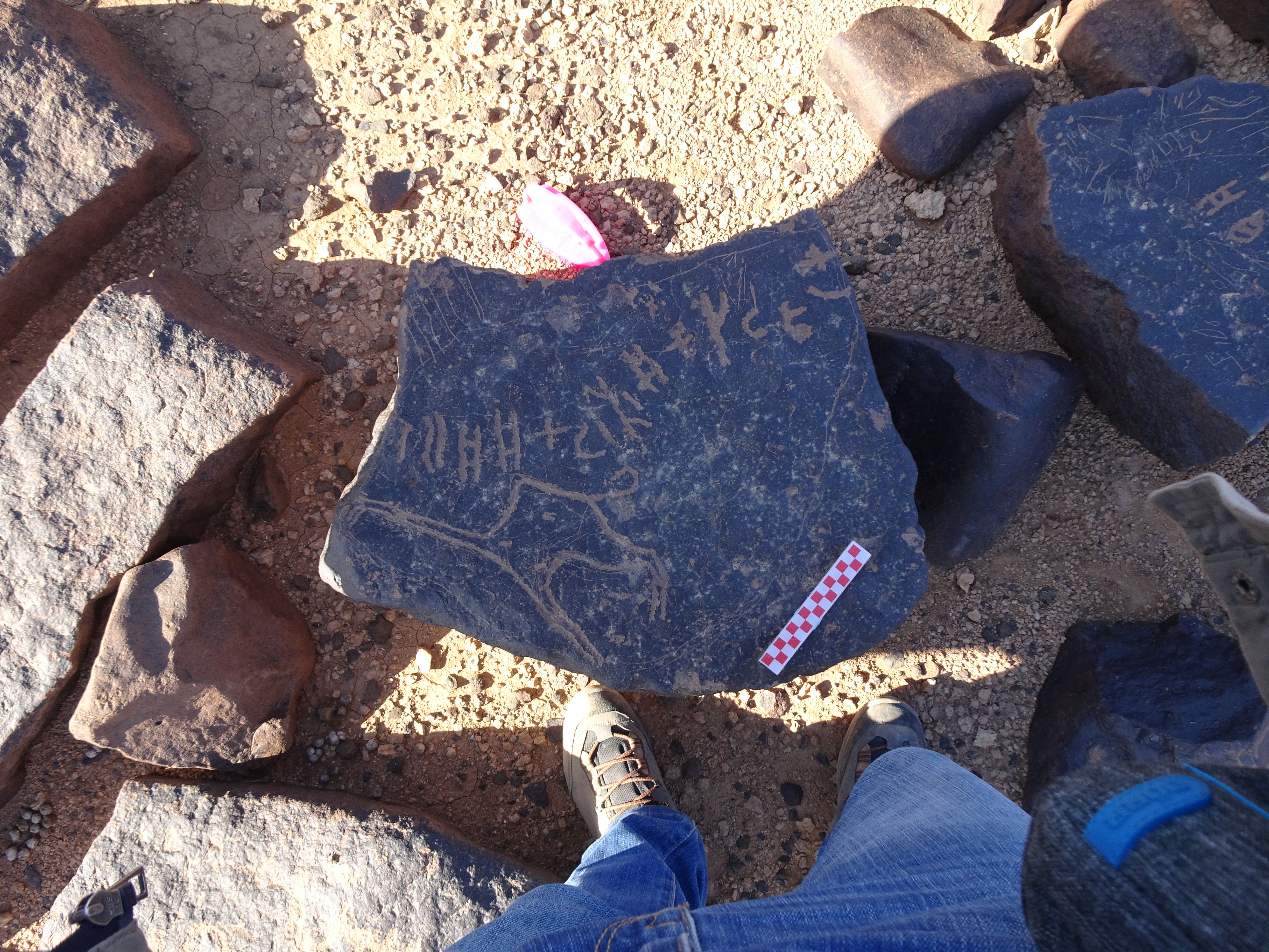 Image of siglum BES20 1091