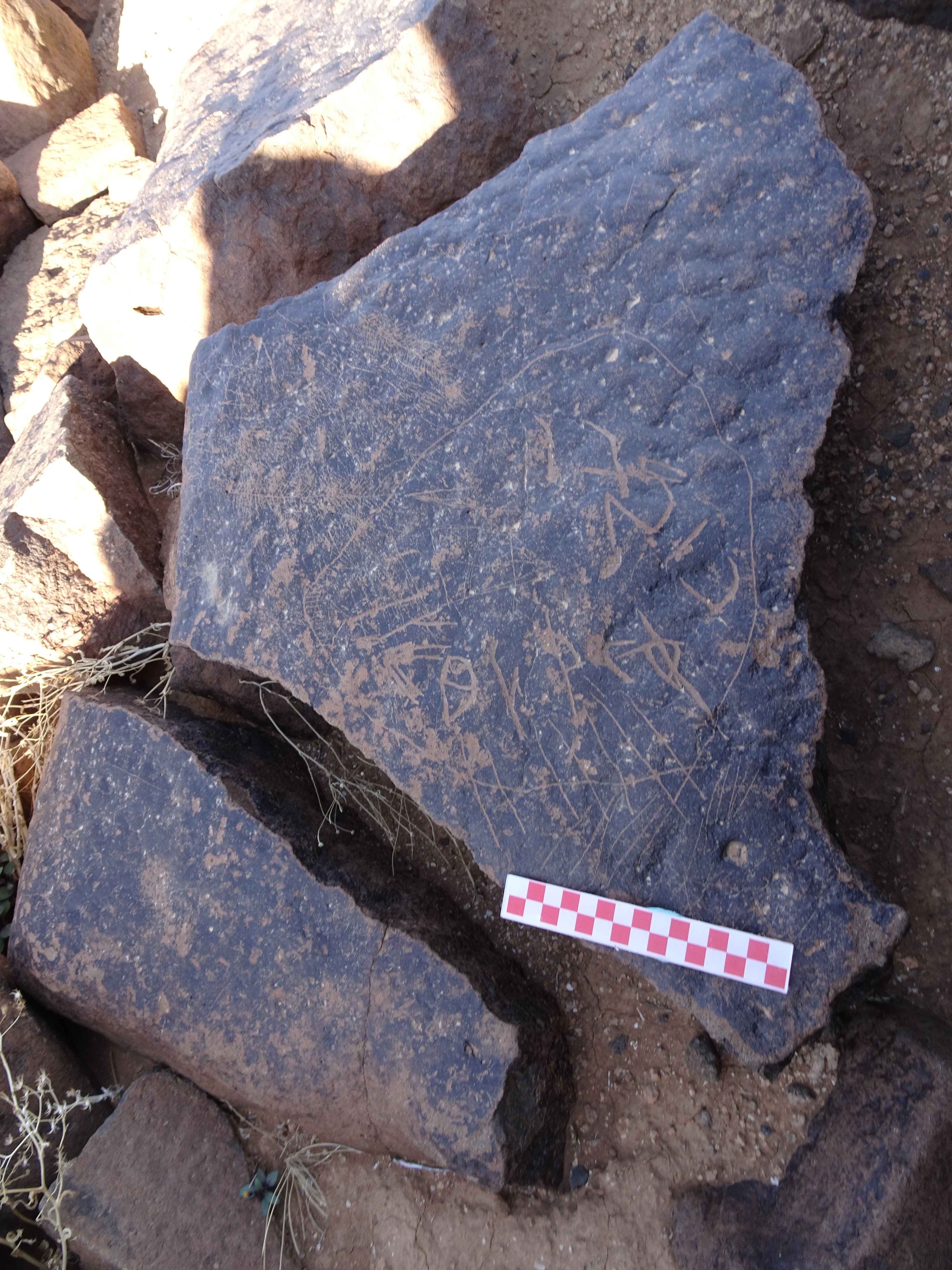 Image of siglum BES20 1092