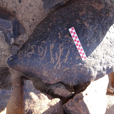 Image of siglum BES20 1095