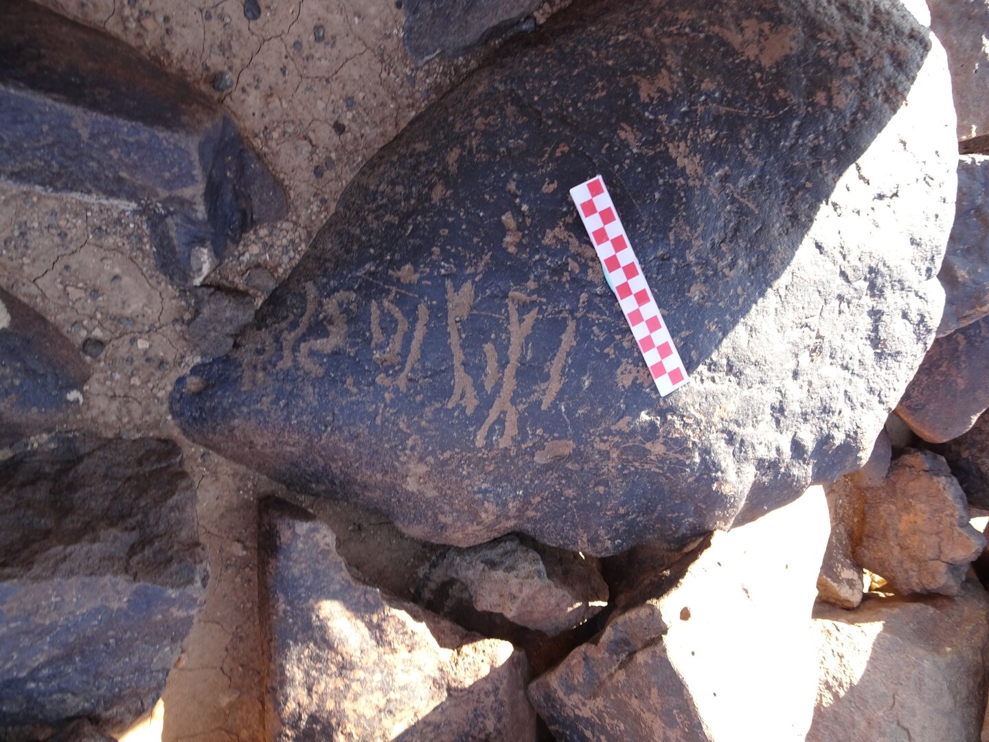 Image of siglum BES20 1095