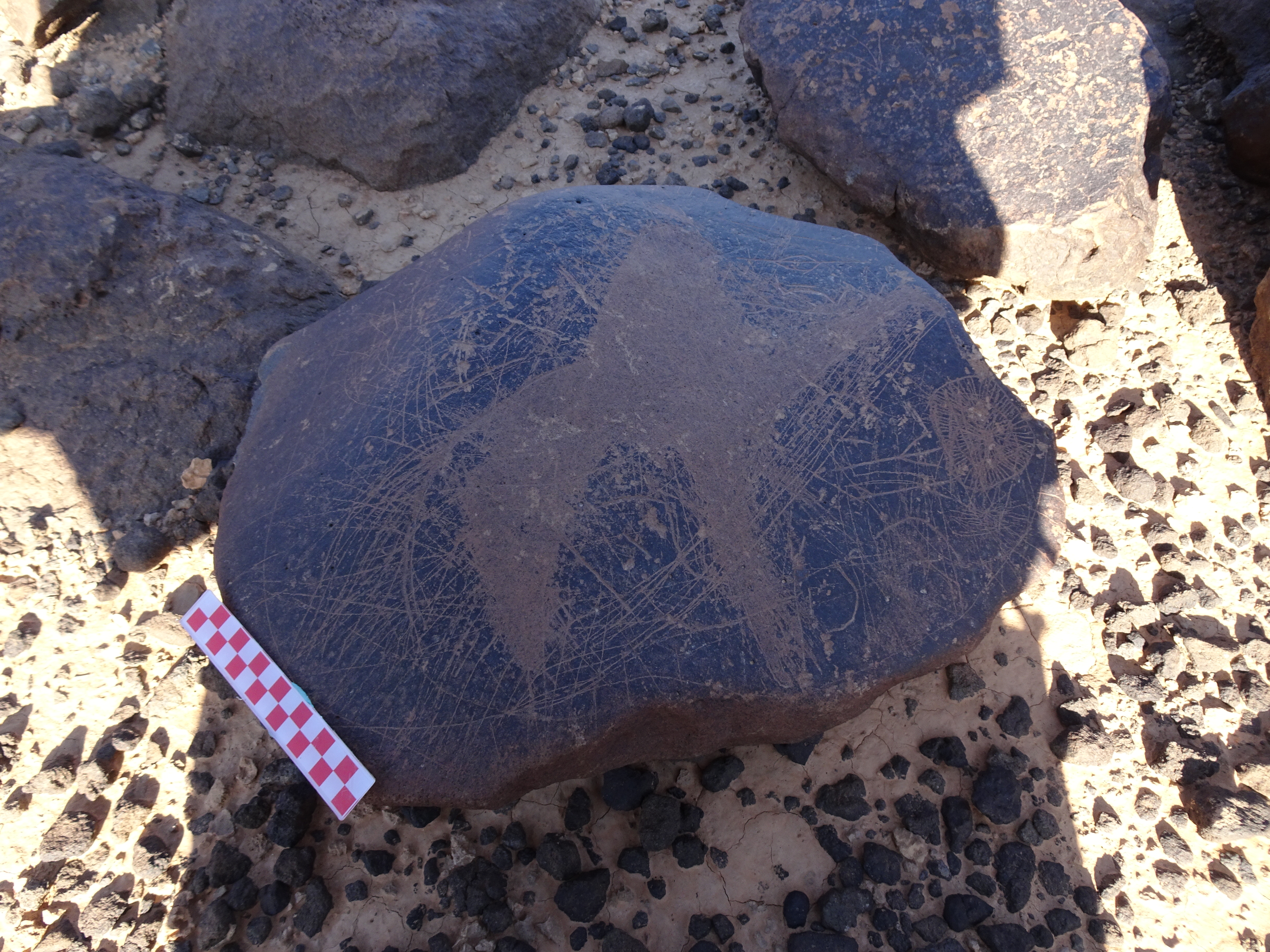 Image of siglum BES20 1098