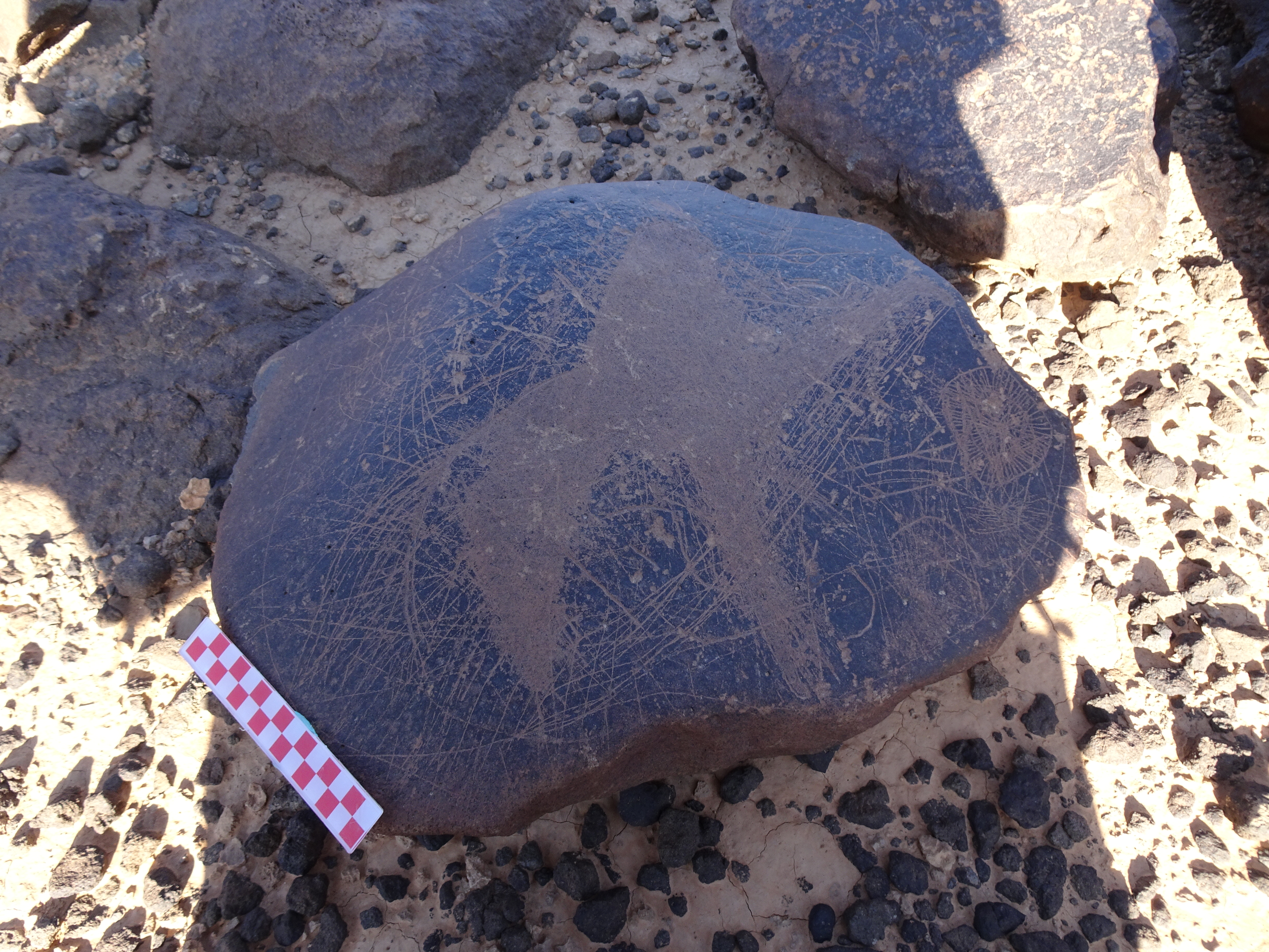 Image of siglum BES20 1098