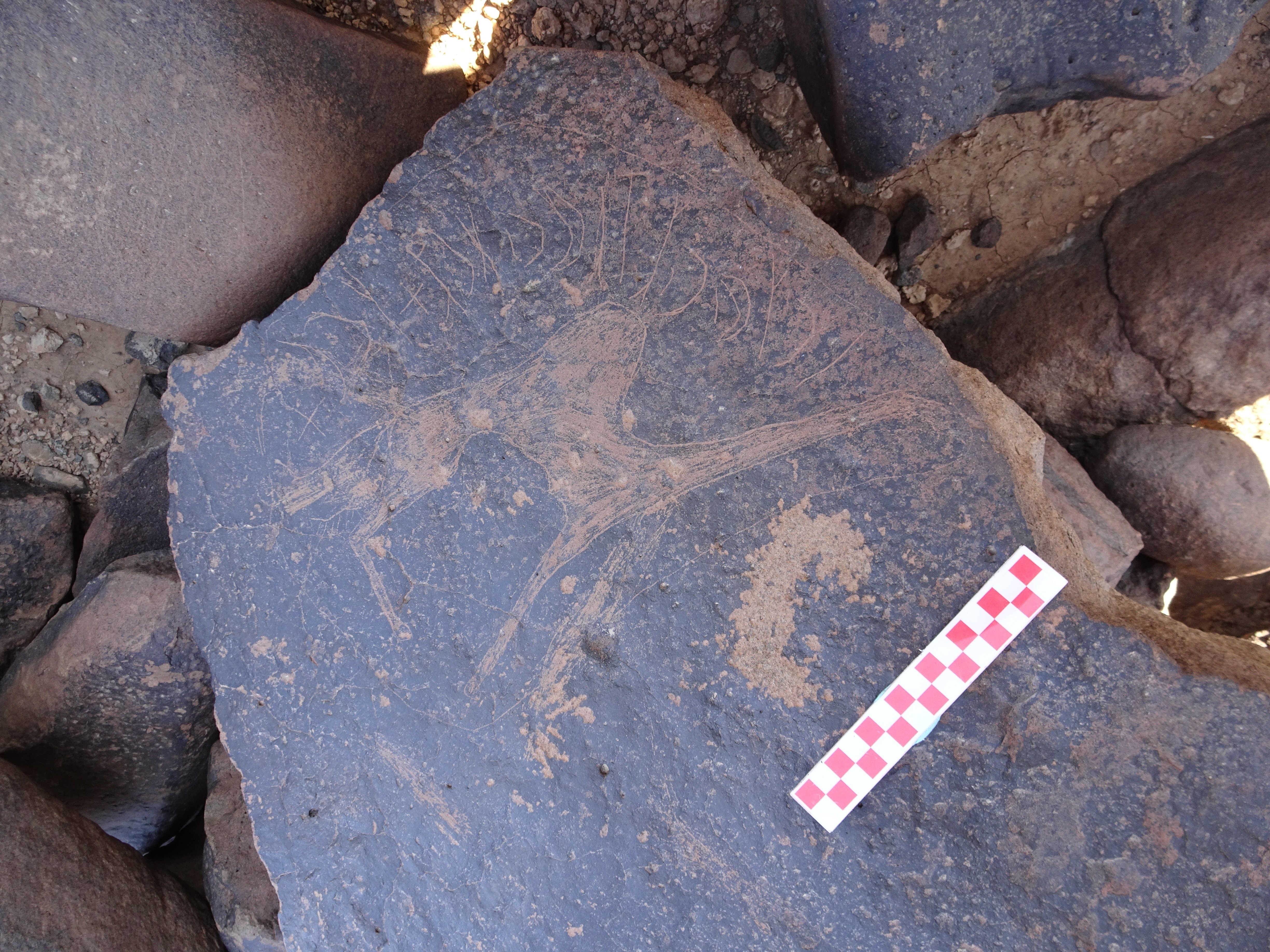 Image of siglum BES20 1100