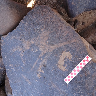 Image of siglum BES20 1100