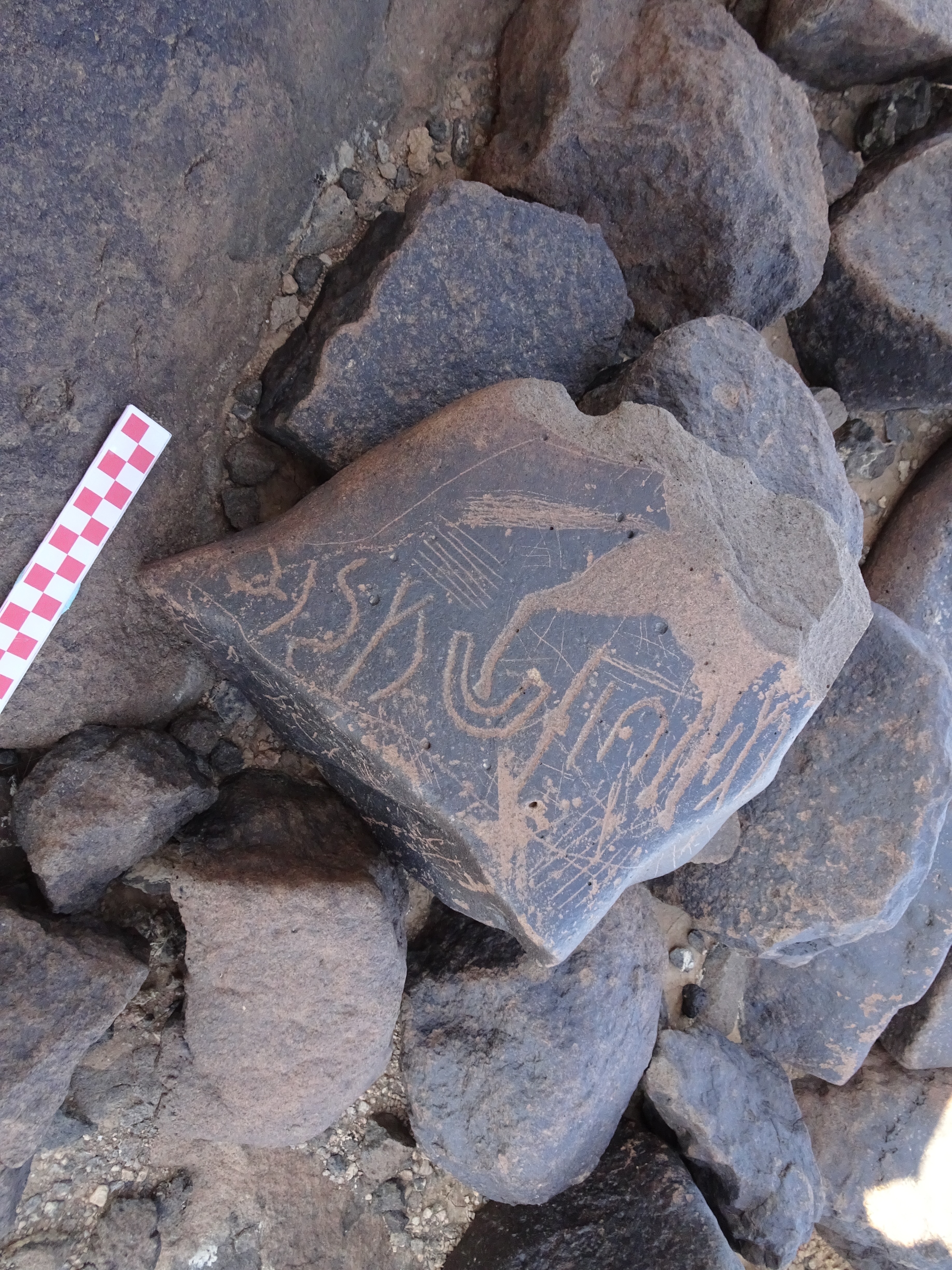 Image of siglum BES20 1102