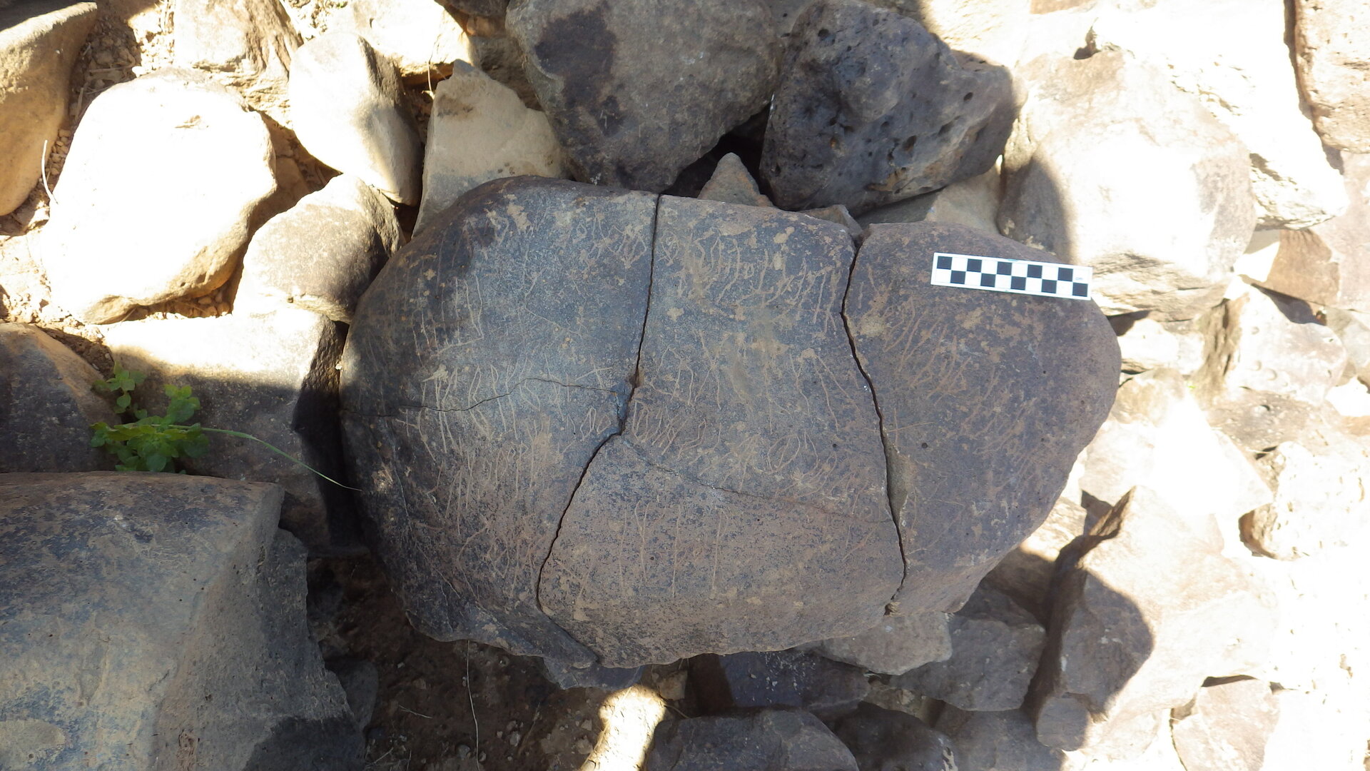 Image of siglum BES20 1106