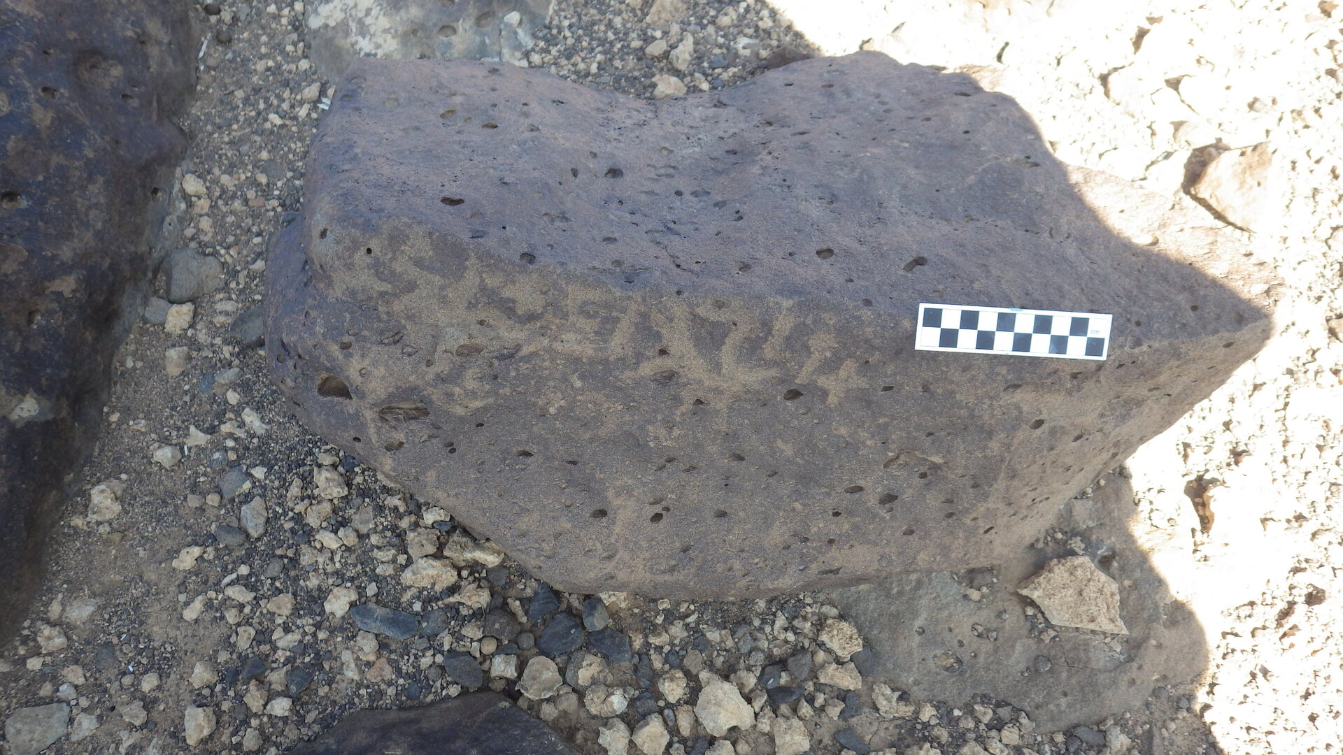 Image of siglum BES20 1108