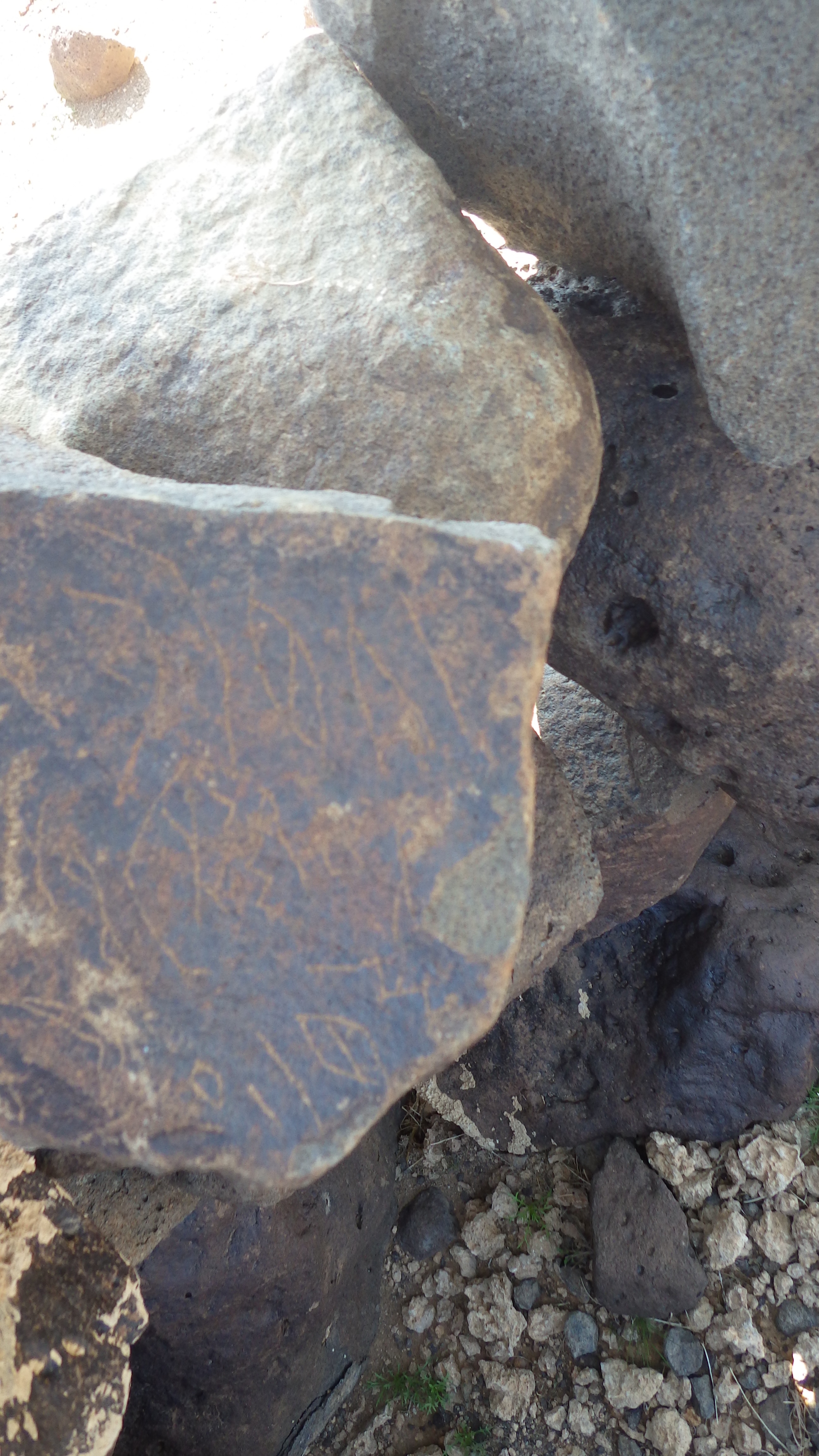 Image of siglum BES20 1112