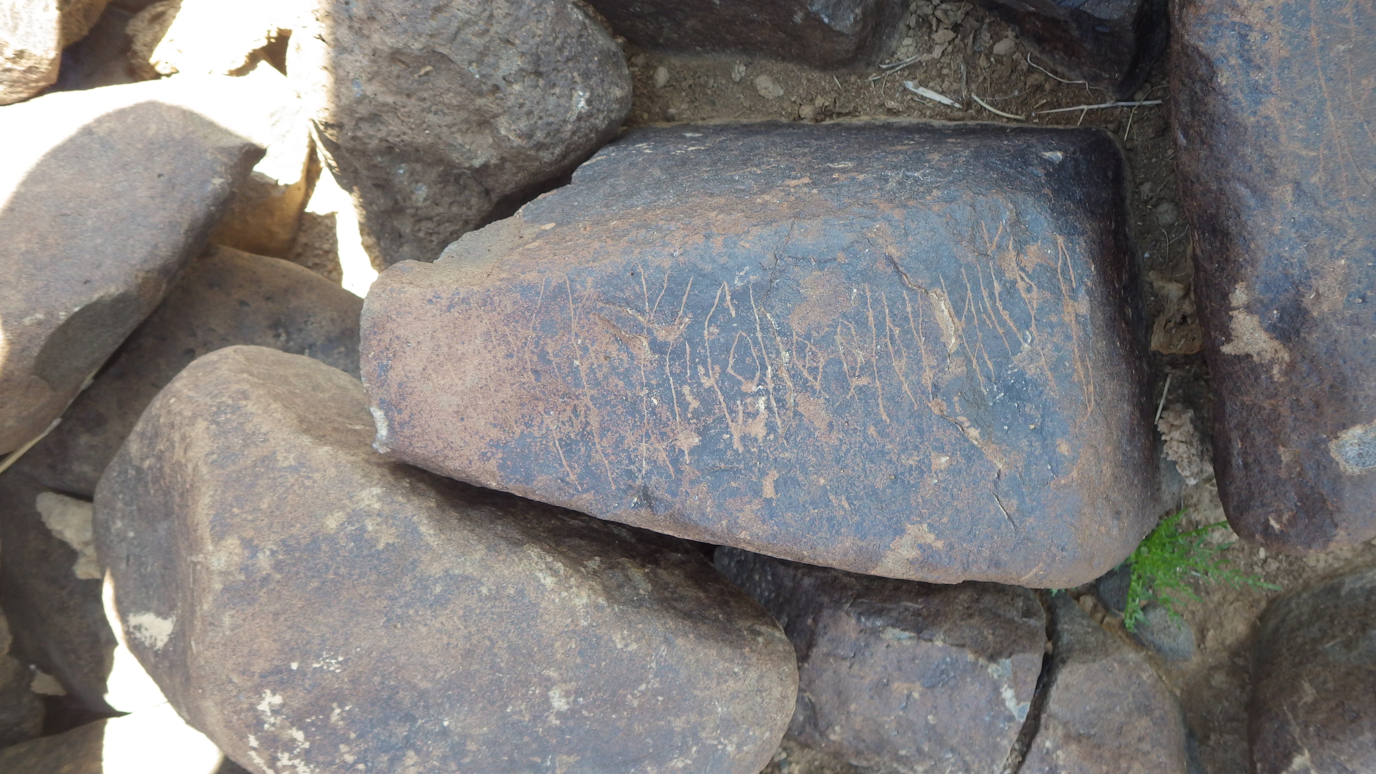 Image of siglum BES20 1113