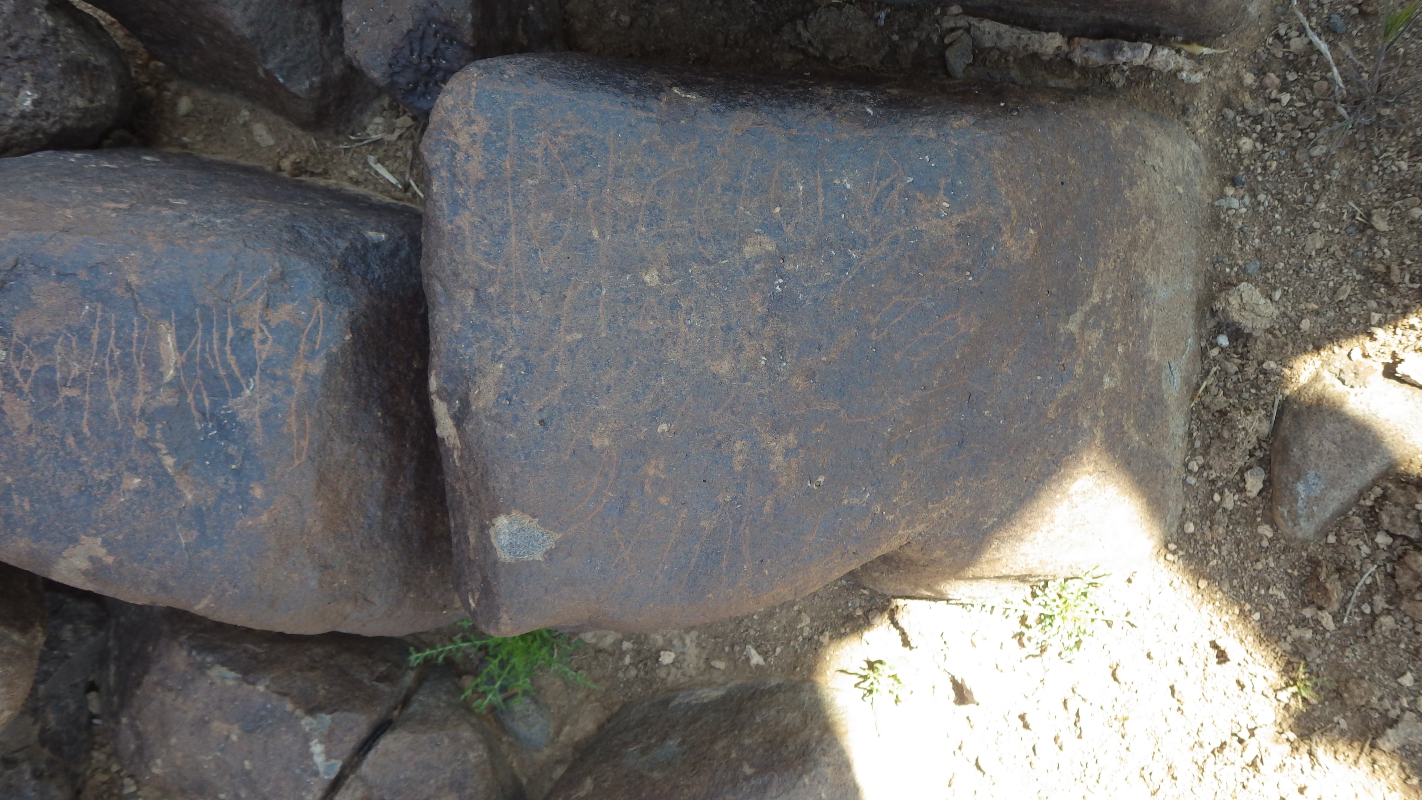 Image of siglum BES20 1114