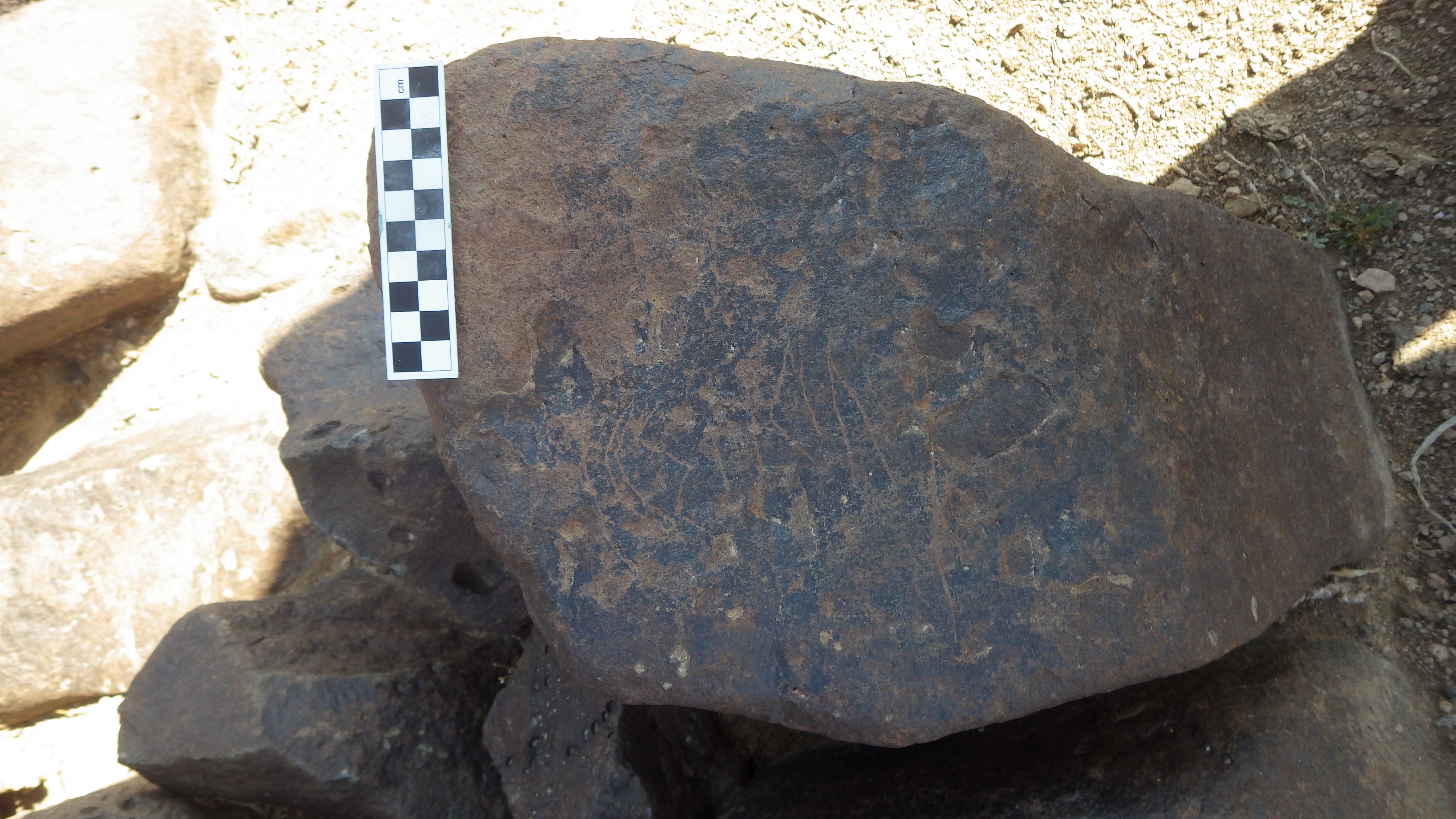 Image of siglum BES20 1115