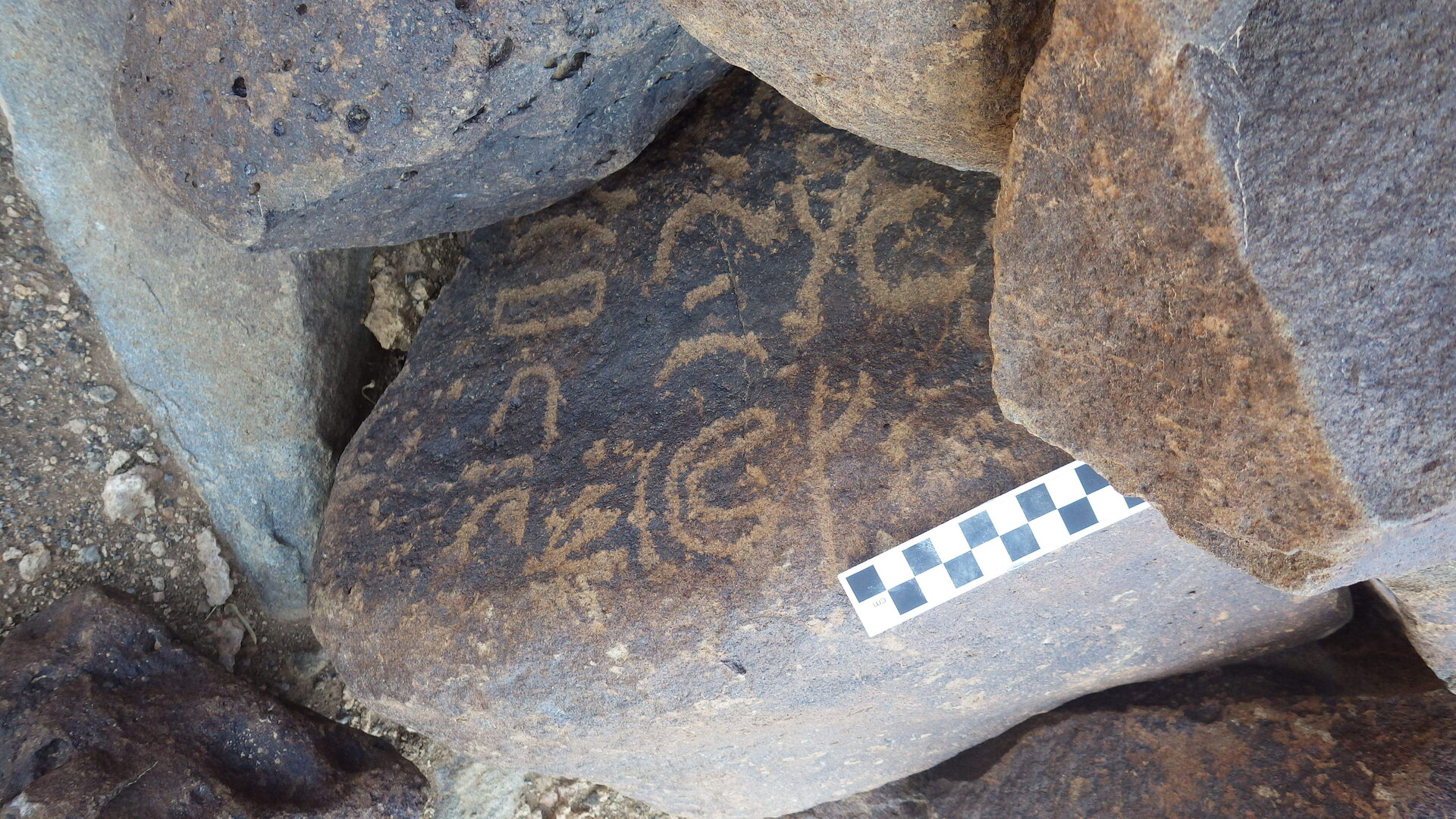 Image of siglum BES20 1116