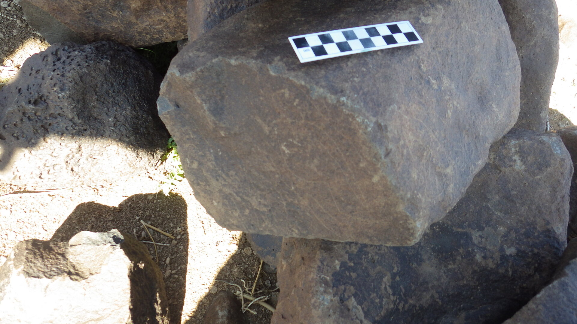 Image of siglum BES20 1118
