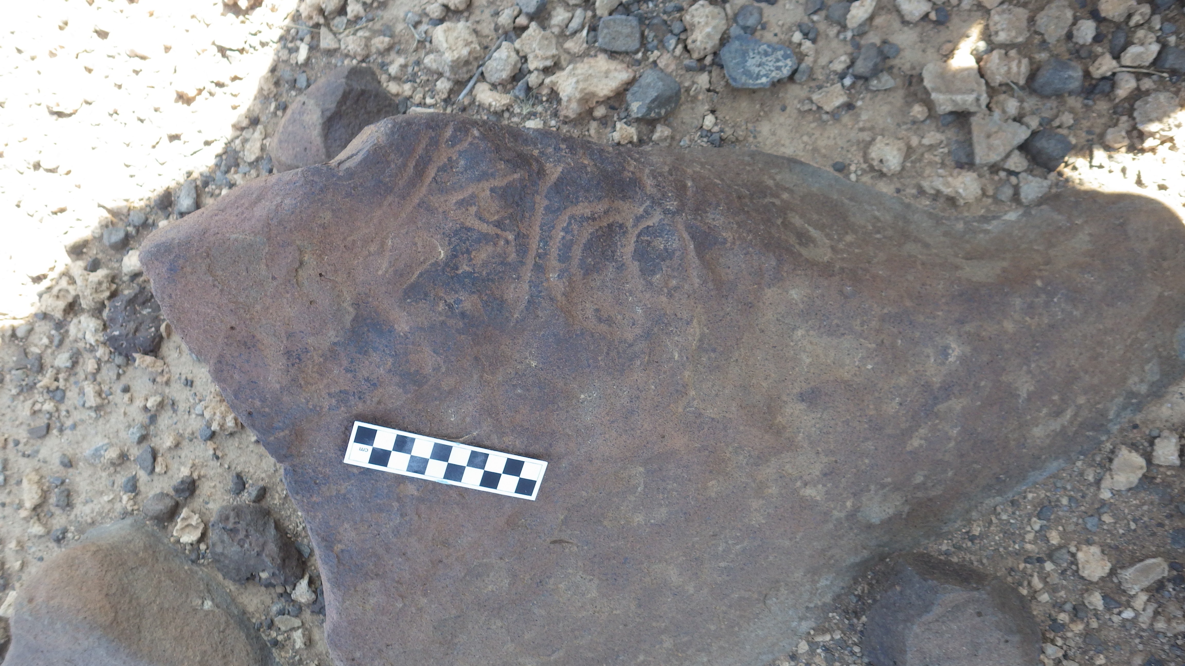 Image of siglum BES20 1119