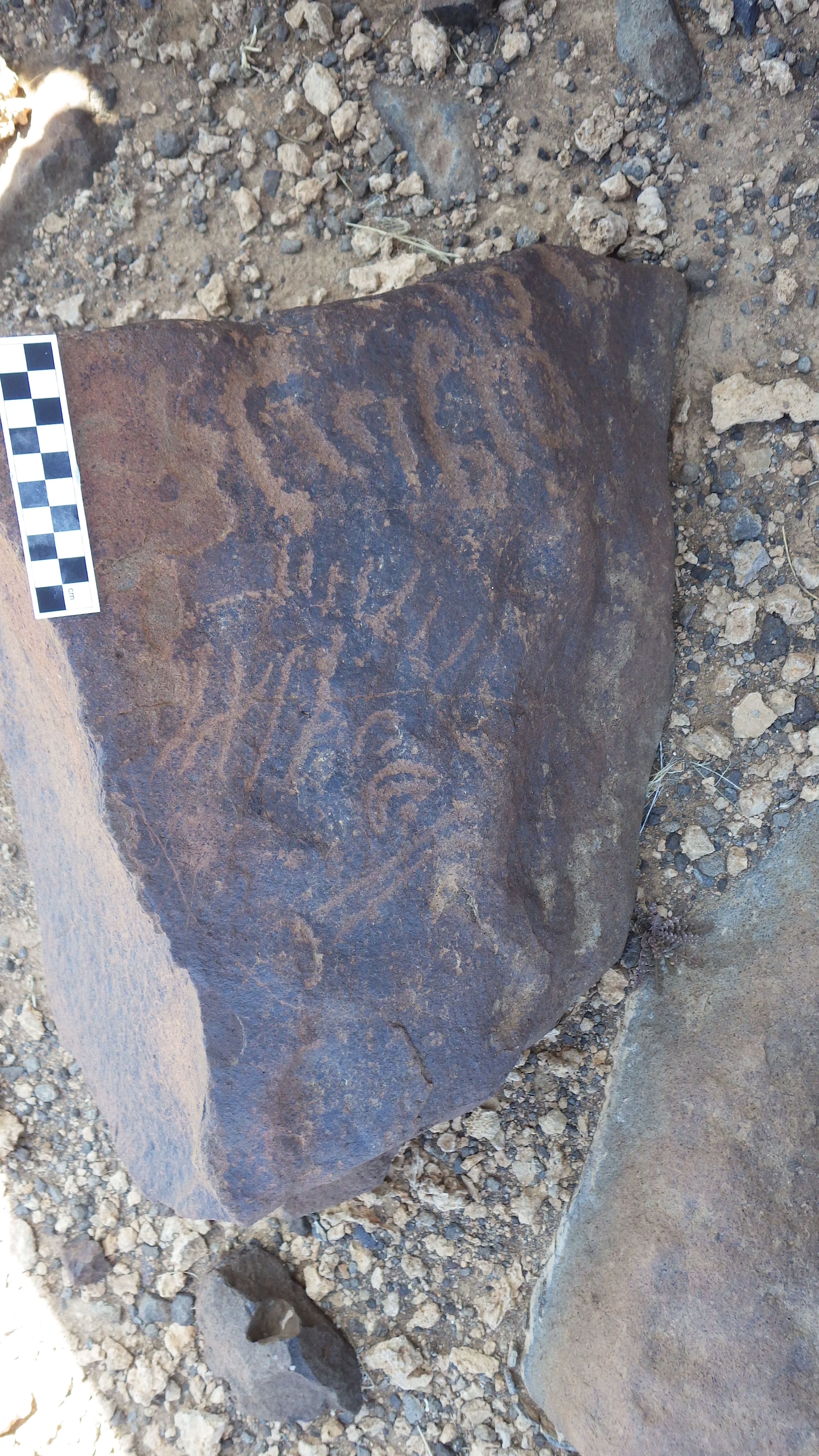 Image of siglum BES20 1120